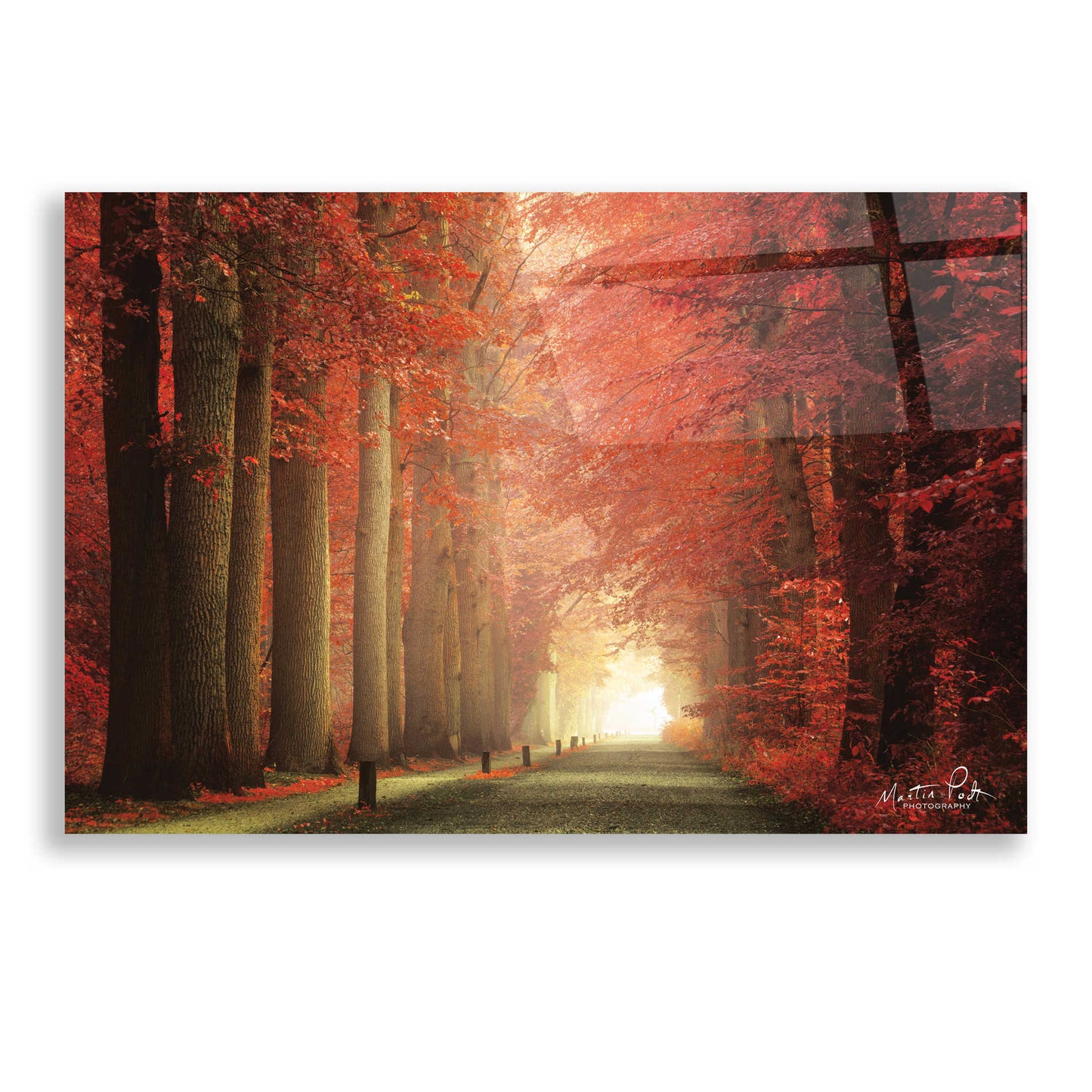 Epic Art 'Way to Red' by Martin Podt, Acrylic Glass Wall Art,24x16