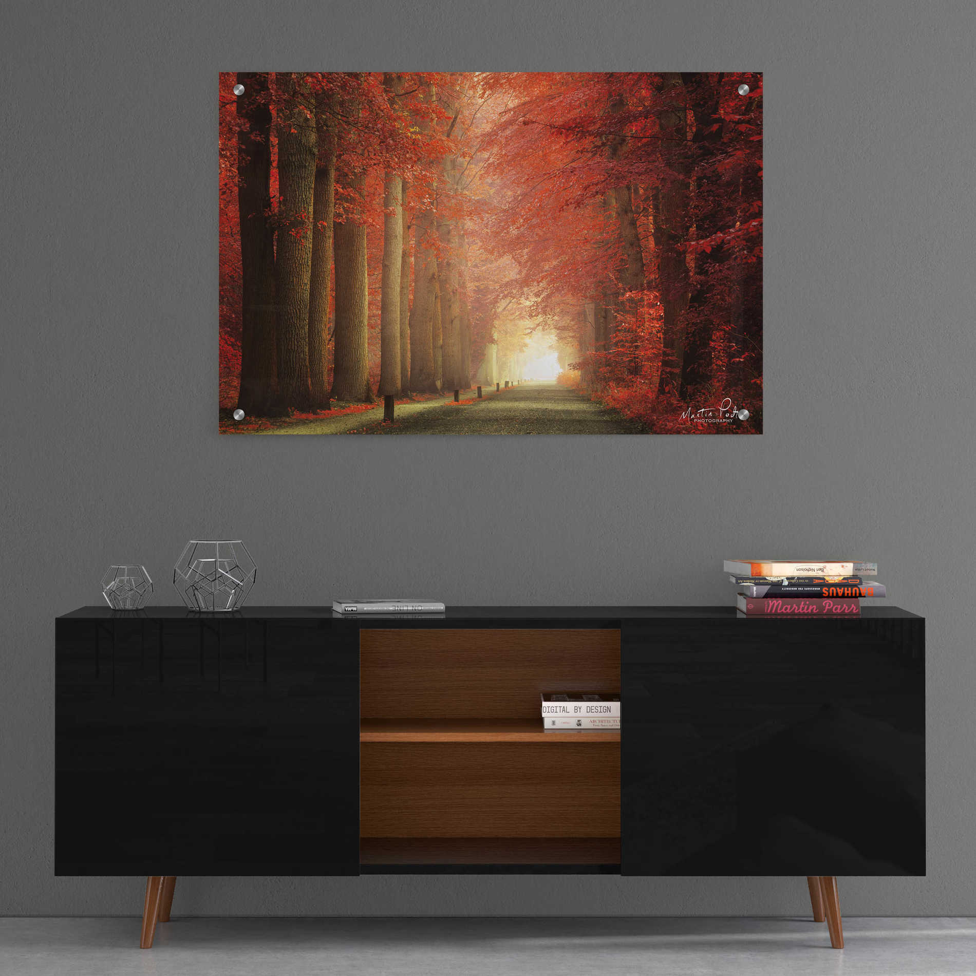 Epic Art 'Way to Red' by Martin Podt, Acrylic Glass Wall Art,36x24