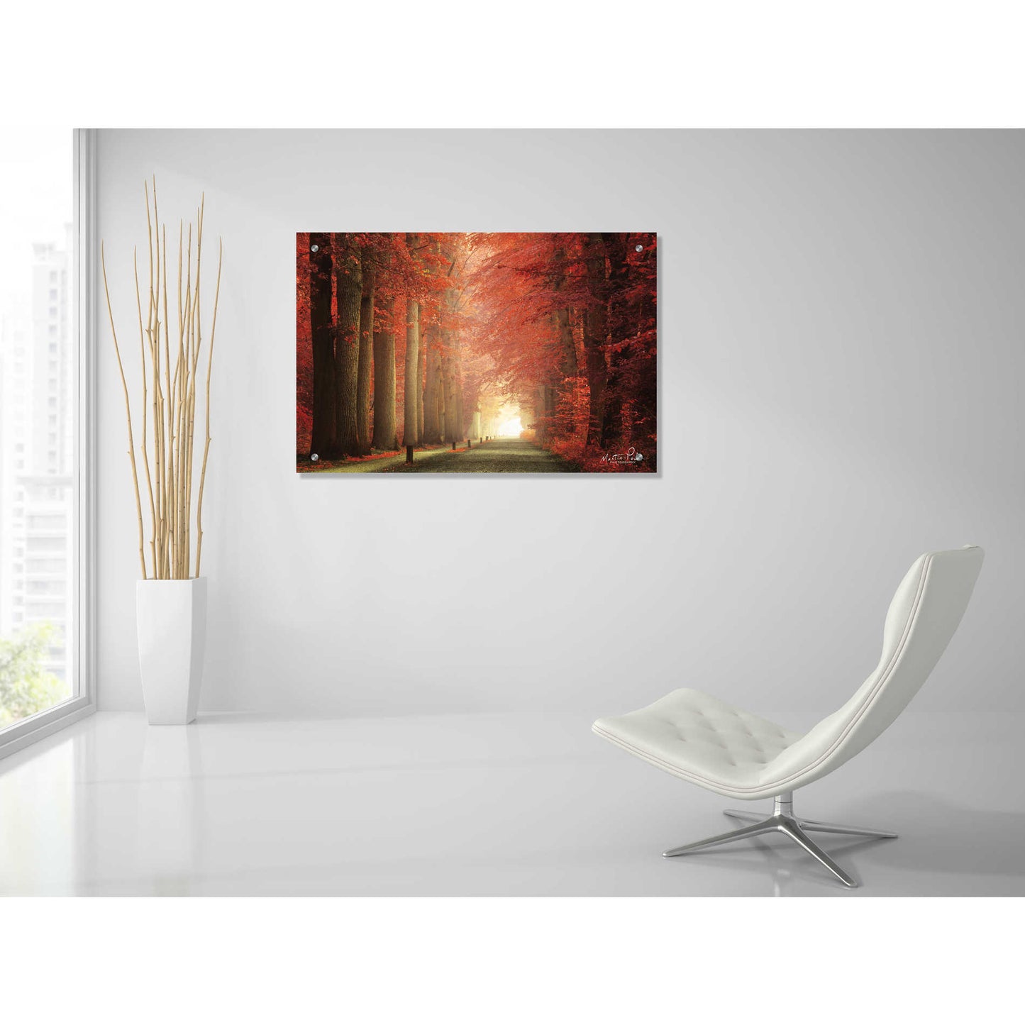 Epic Art 'Way to Red' by Martin Podt, Acrylic Glass Wall Art,36x24