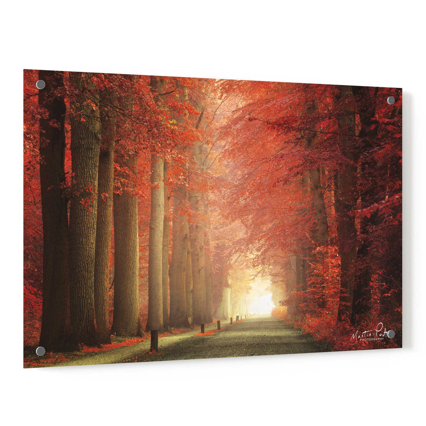 Epic Art 'Way to Red' by Martin Podt, Acrylic Glass Wall Art,36x24