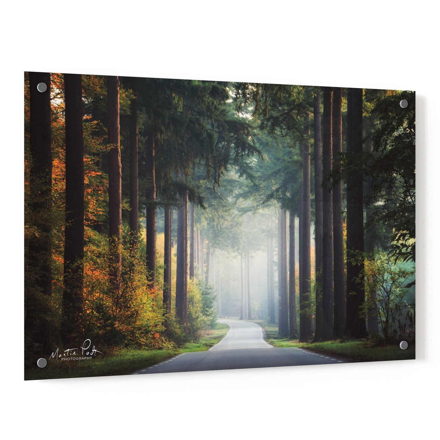 Epic Art 'Mysterious Roads' by Martin Podt, Acrylic Glass Wall Art,36x24