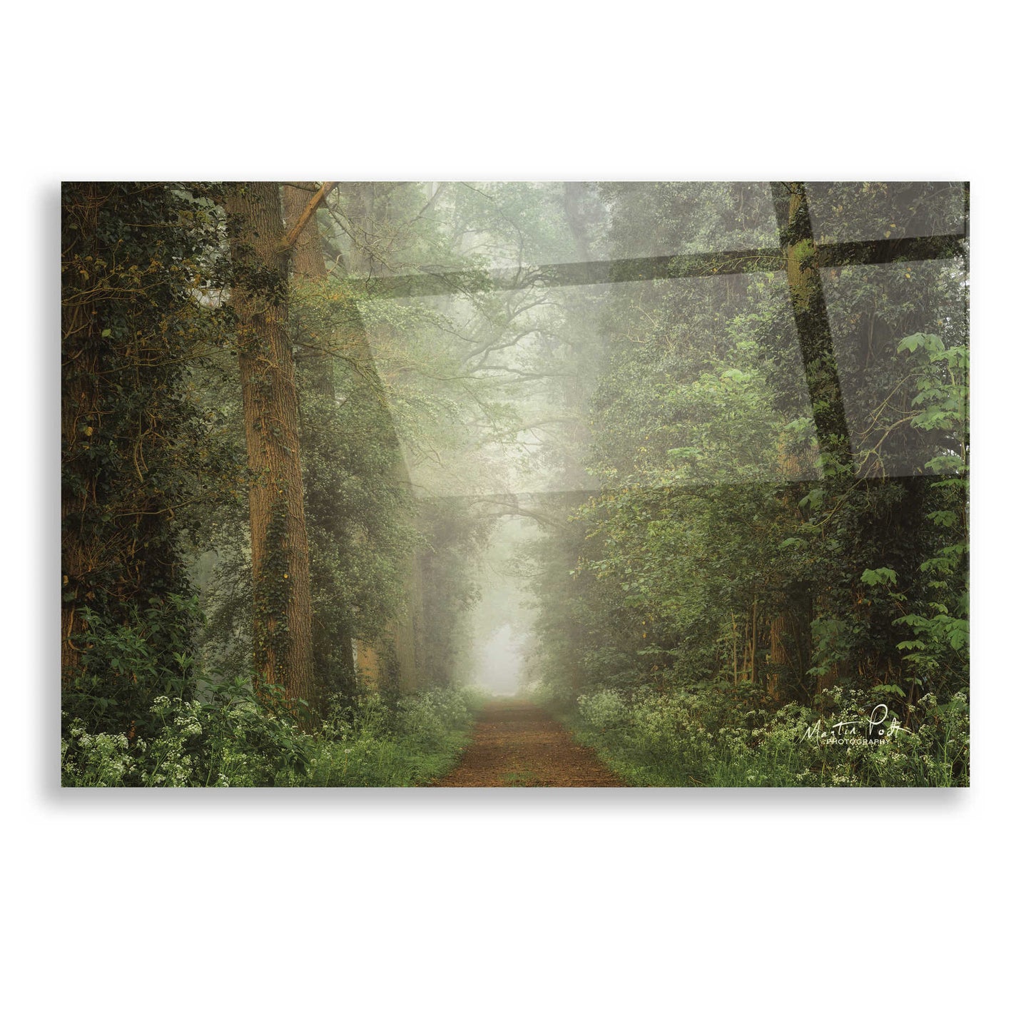 Epic Art 'Misty Spring Road' by Martin Podt, Acrylic Glass Wall Art,16x12