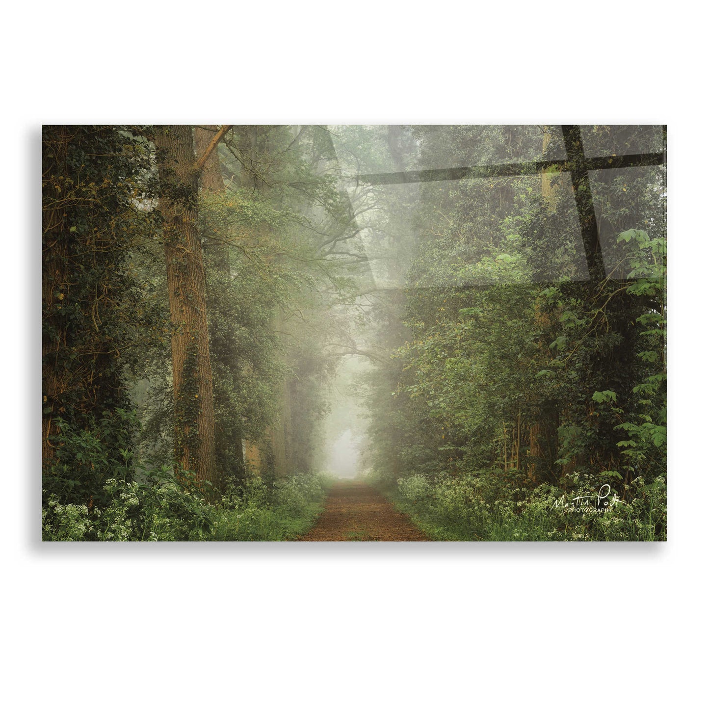 Epic Art 'Misty Spring Road' by Martin Podt, Acrylic Glass Wall Art,24x16