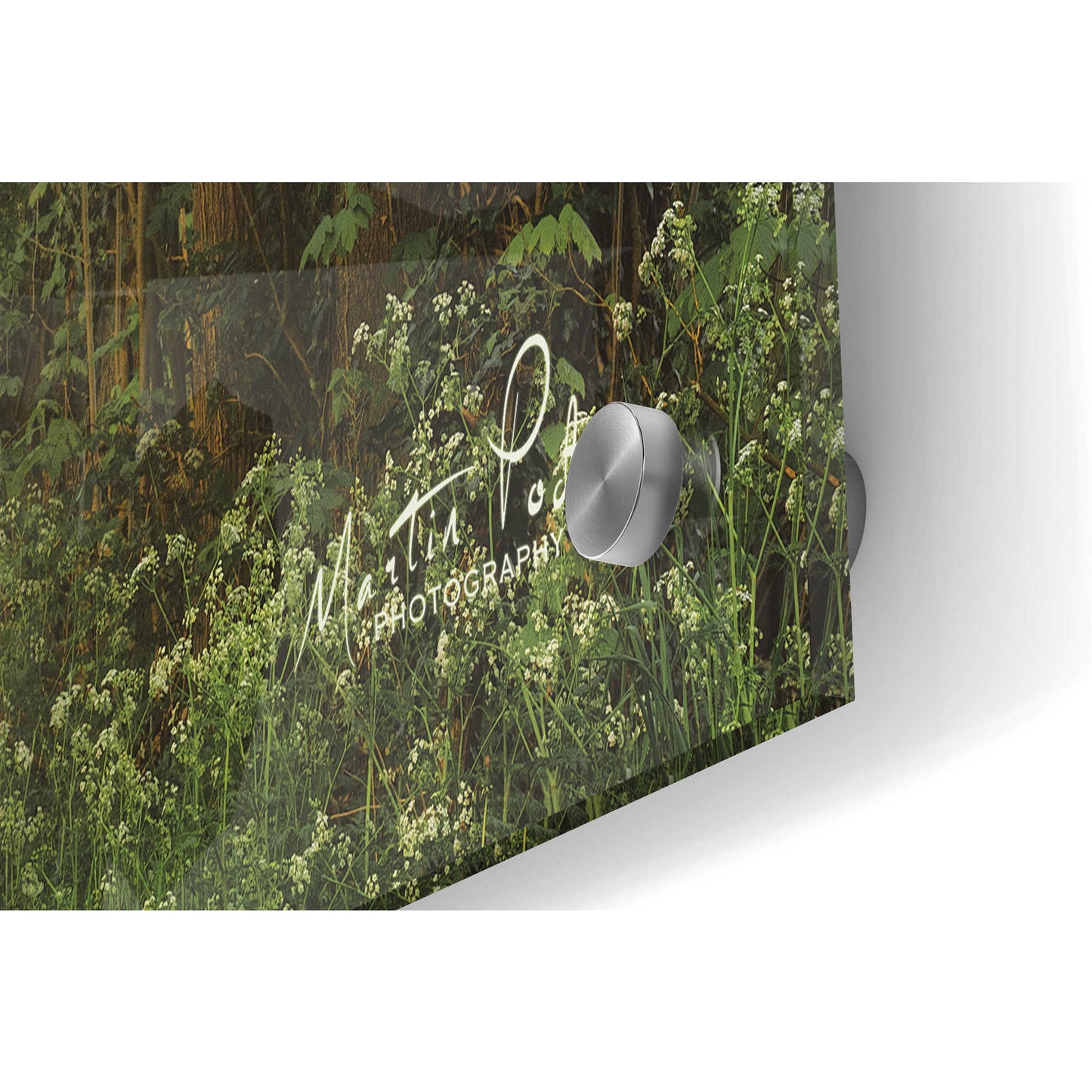 Epic Art 'Misty Spring Road' by Martin Podt, Acrylic Glass Wall Art,36x24