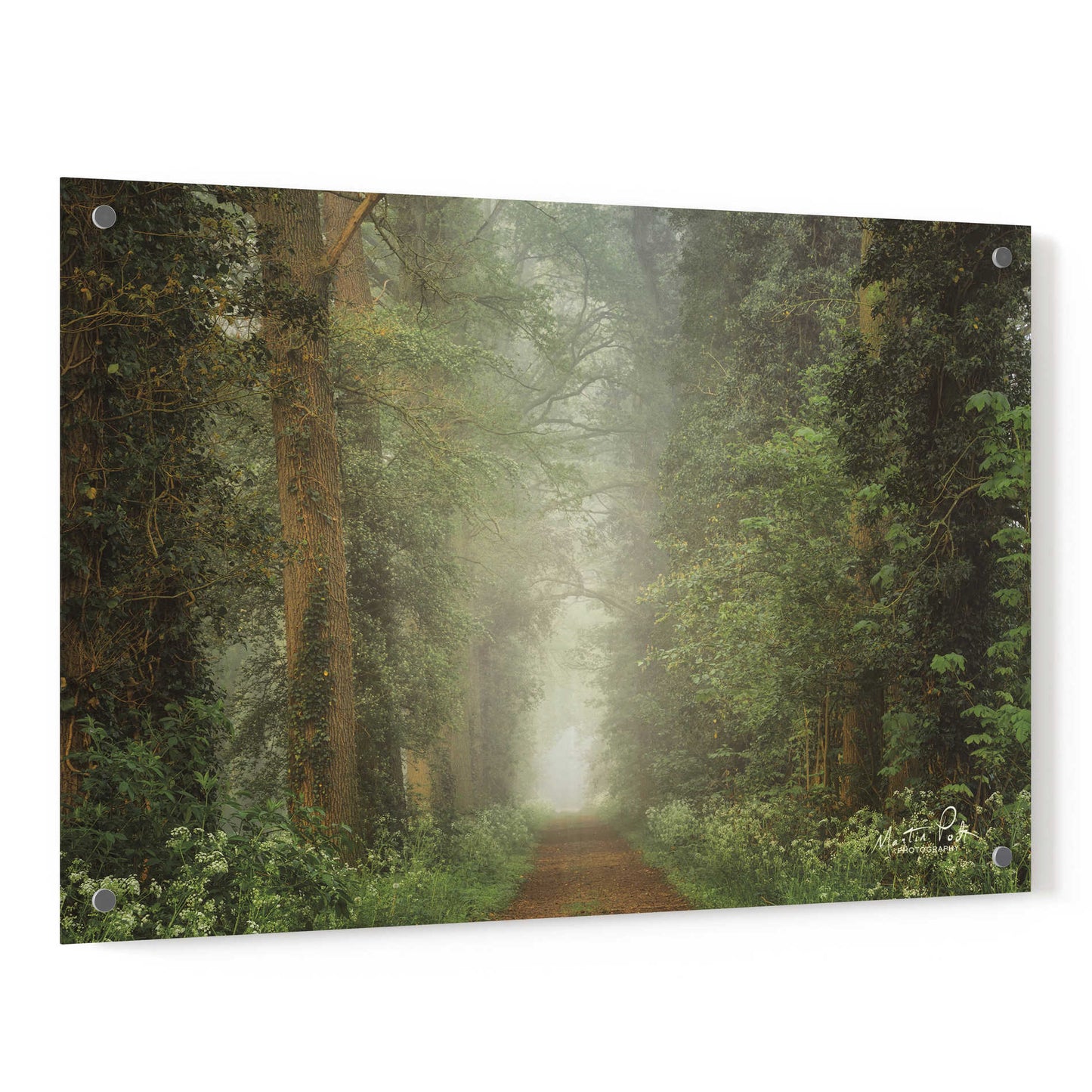 Epic Art 'Misty Spring Road' by Martin Podt, Acrylic Glass Wall Art,36x24