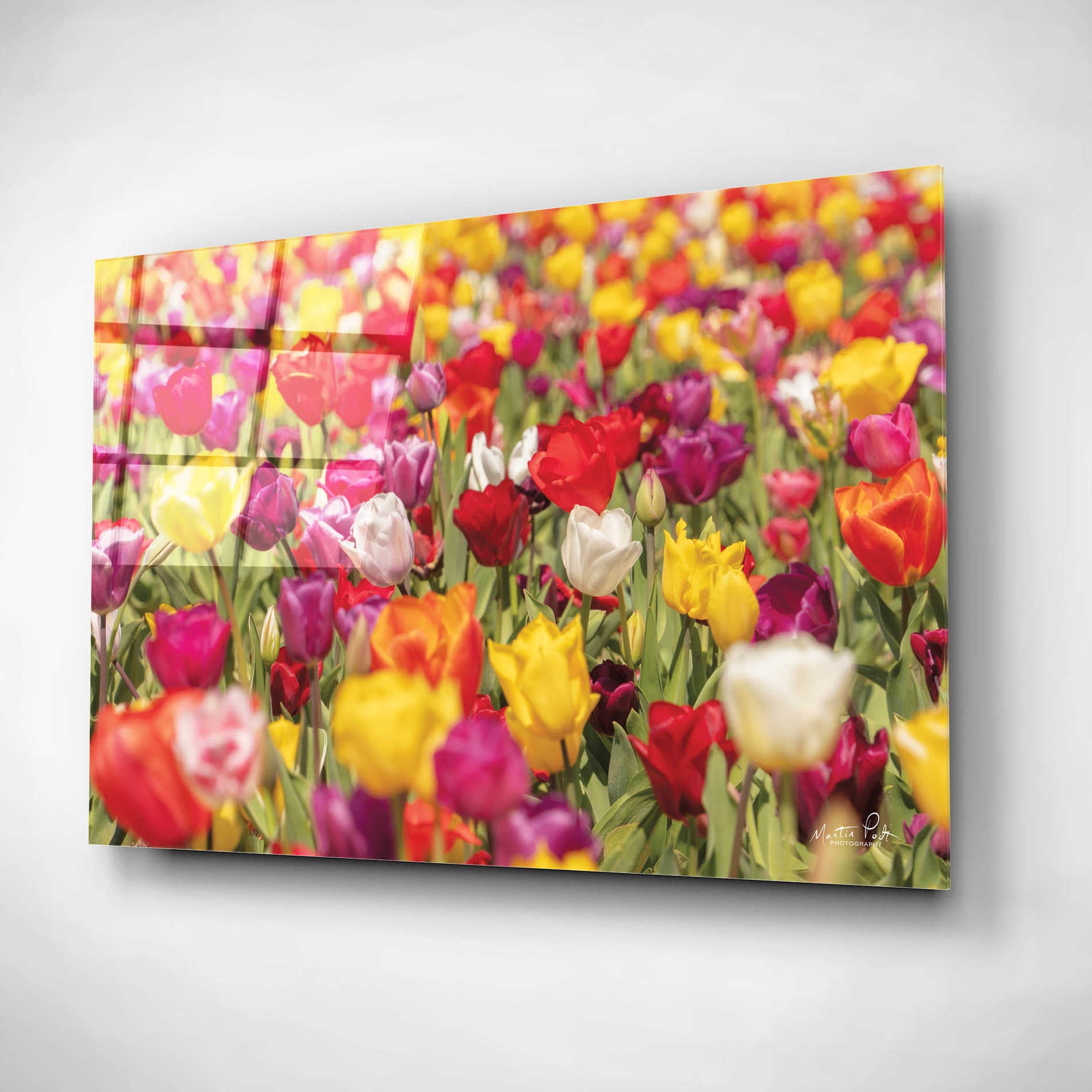 Epic Art 'Colorful Bouquet' by Martin Podt, Acrylic Glass Wall Art,16x12