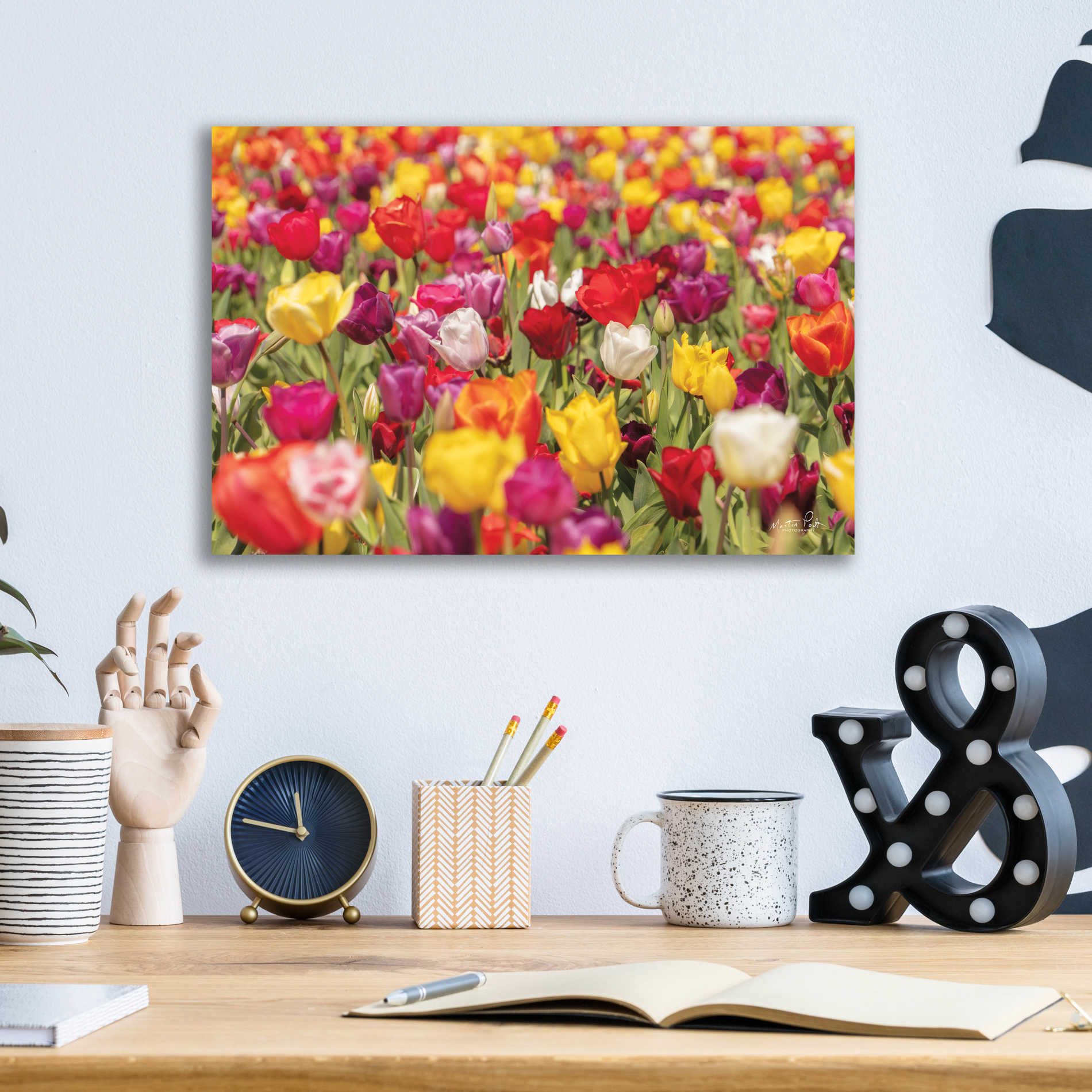 Epic Art 'Colorful Bouquet' by Martin Podt, Acrylic Glass Wall Art,16x12