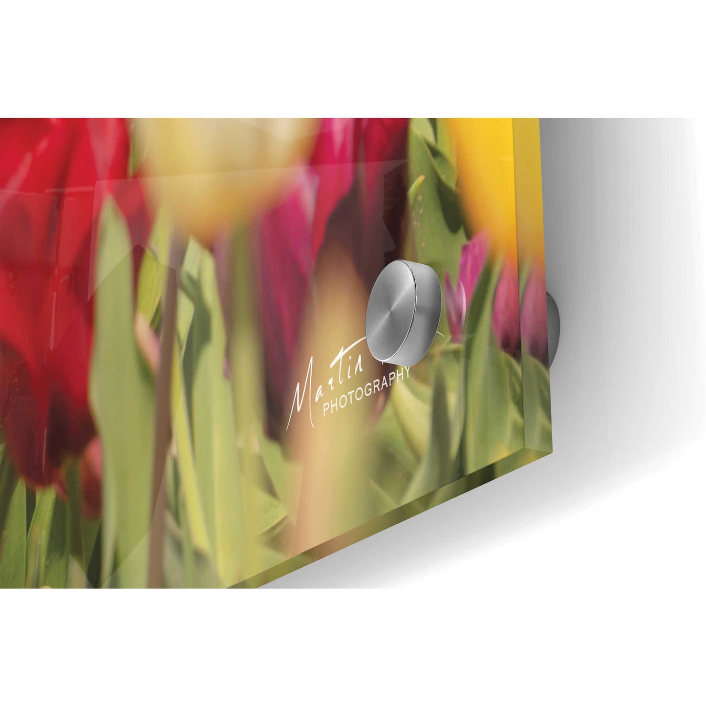 Epic Art 'Colorful Bouquet' by Martin Podt, Acrylic Glass Wall Art,36x24