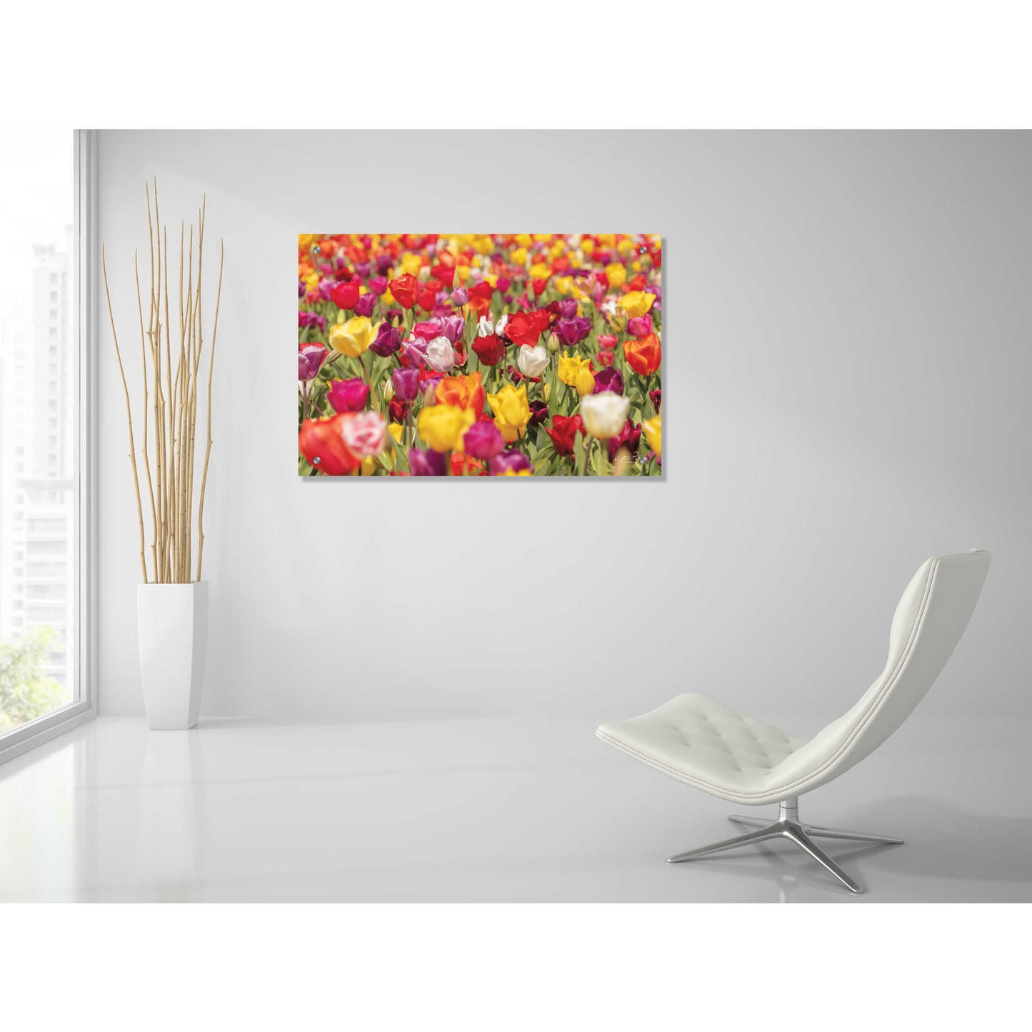 Epic Art 'Colorful Bouquet' by Martin Podt, Acrylic Glass Wall Art,36x24