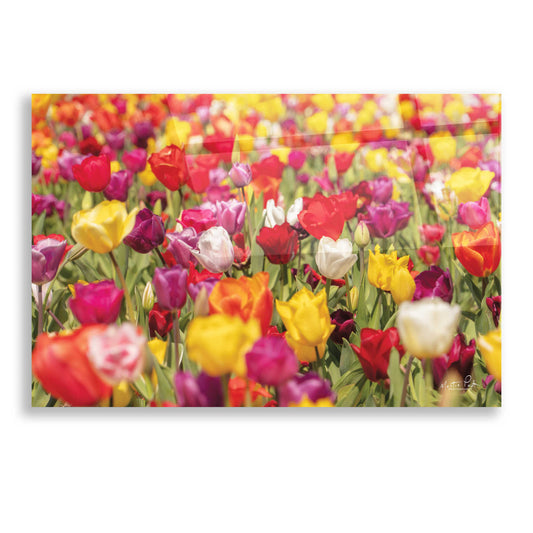 Epic Art 'Colorful Bouquet' by Martin Podt, Acrylic Glass Wall Art