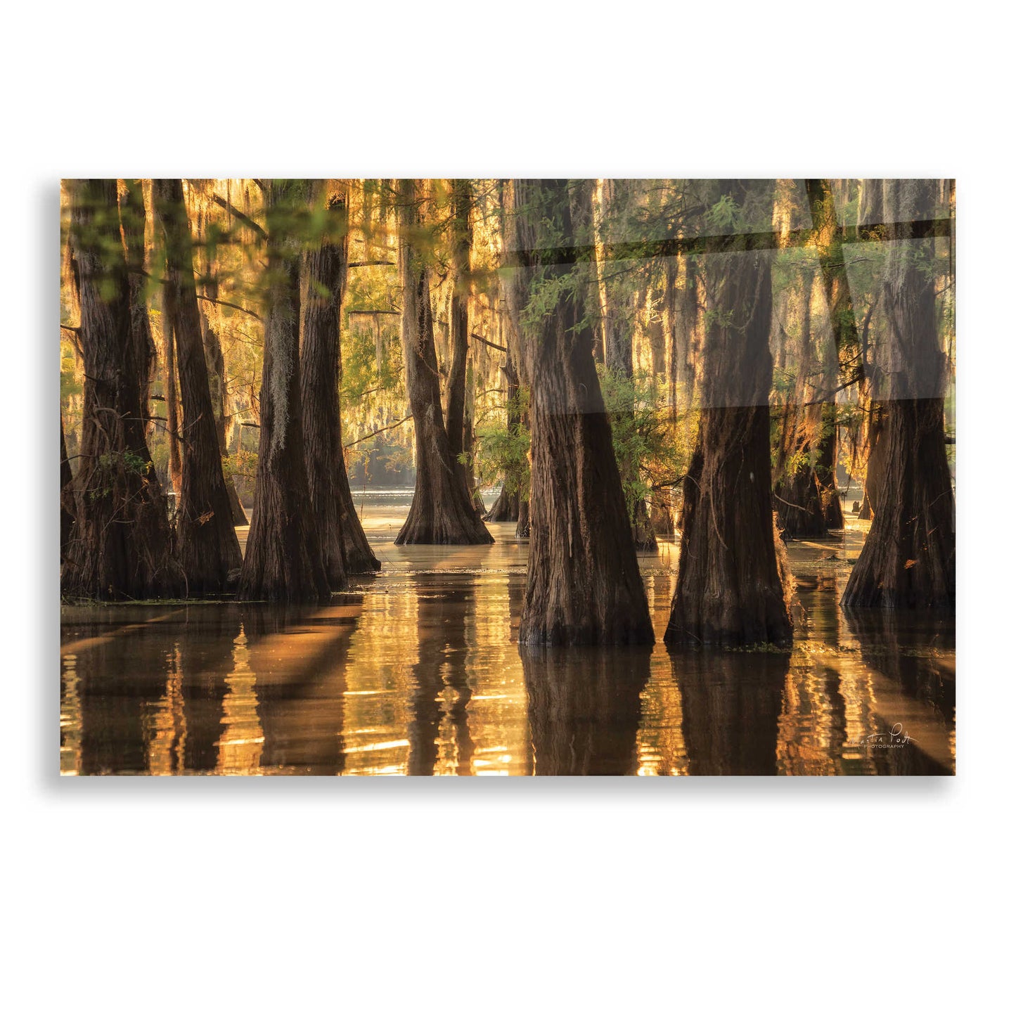 Epic Art 'Natural Beauty' by Martin Podt, Acrylic Glass Wall Art,24x16