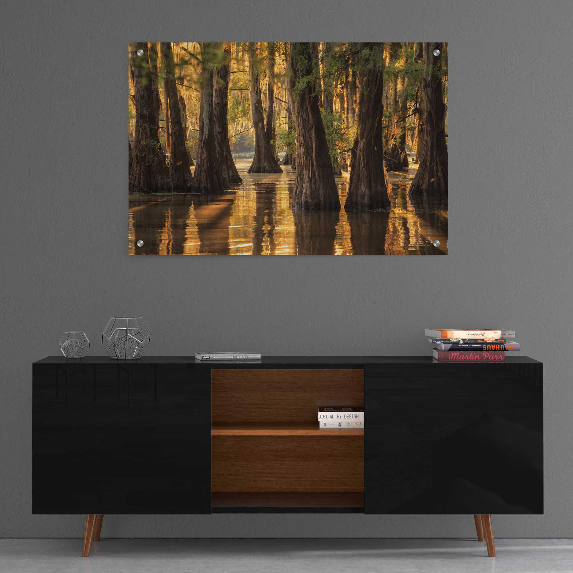 Epic Art 'Natural Beauty' by Martin Podt, Acrylic Glass Wall Art,36x24