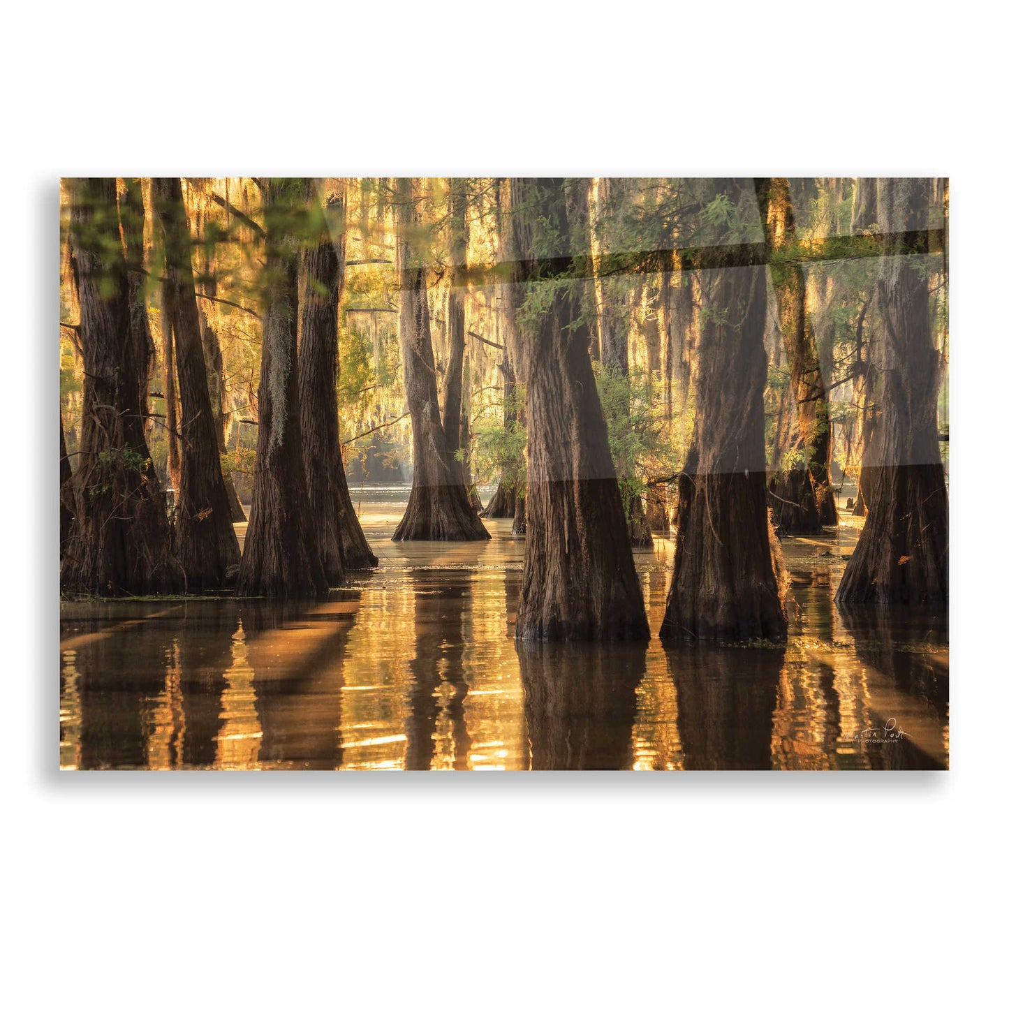 Epic Art 'Natural Beauty' by Martin Podt, Acrylic Glass Wall Art