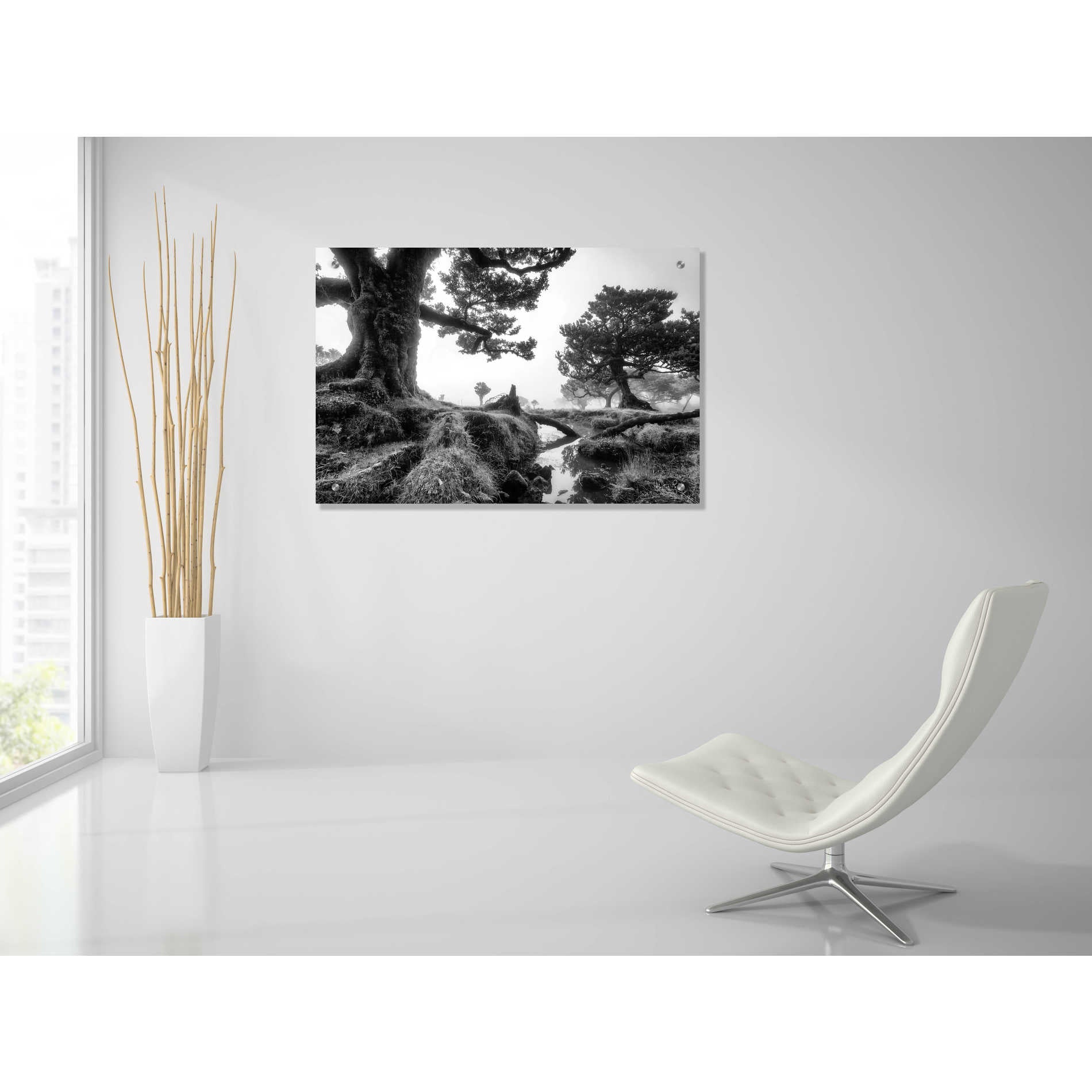 Epic Art 'Black & White Fanal' by Martin Podt, Acrylic Glass Wall Art,36x24