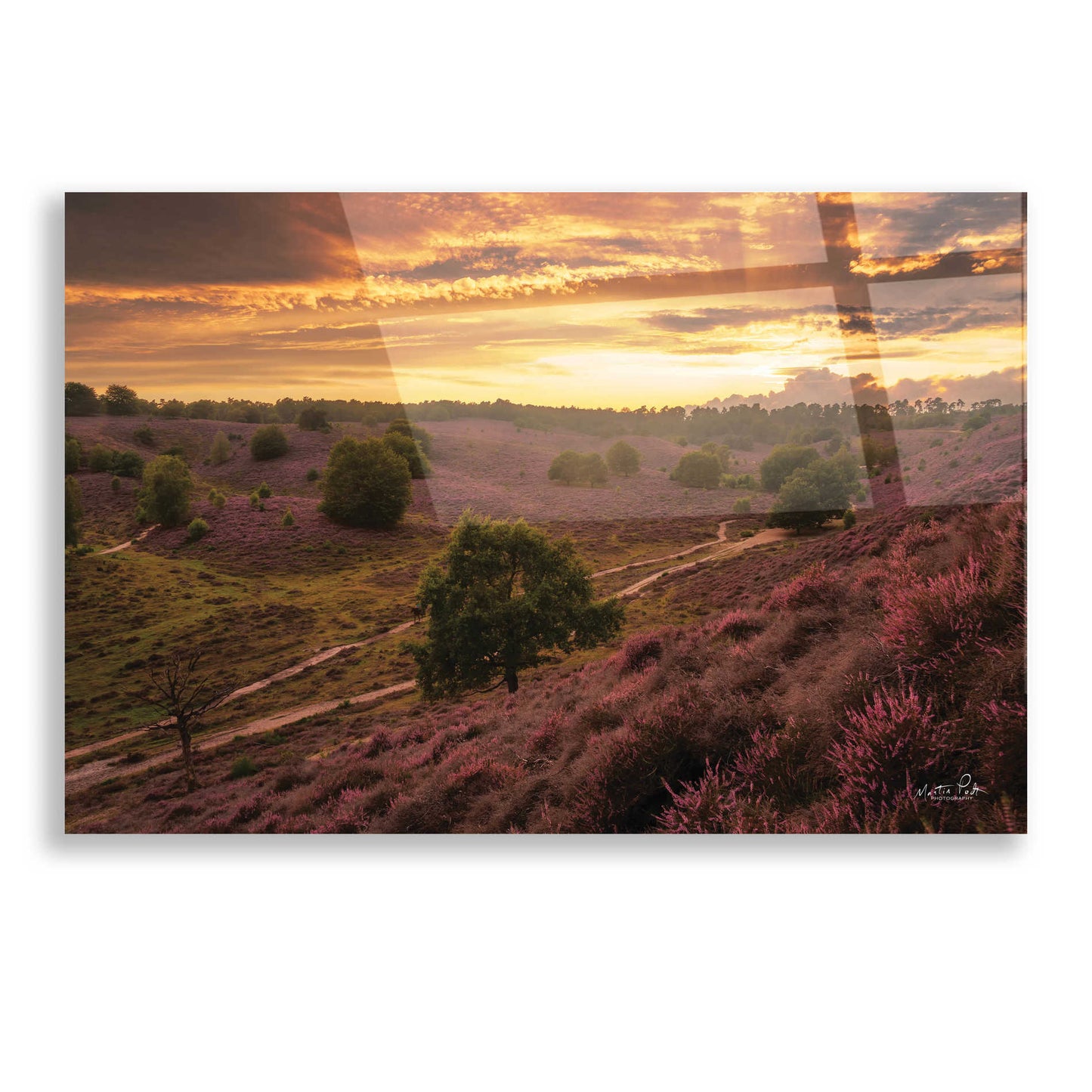 Epic Art 'Just a Sunset in the Netherlands' by Martin Podt, Acrylic Glass Wall Art,16x12