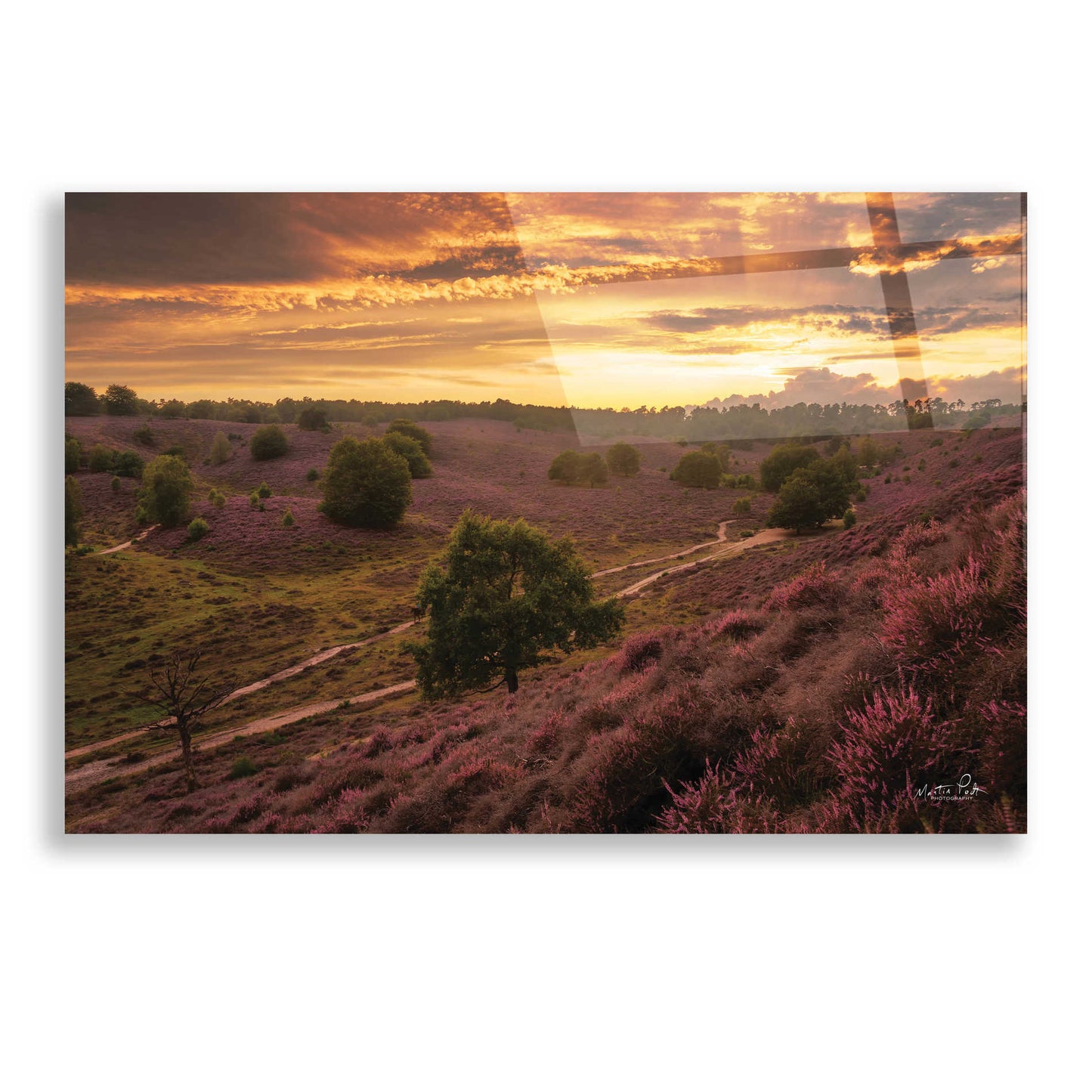 Epic Art 'Just a Sunset in the Netherlands' by Martin Podt, Acrylic Glass Wall Art,24x16