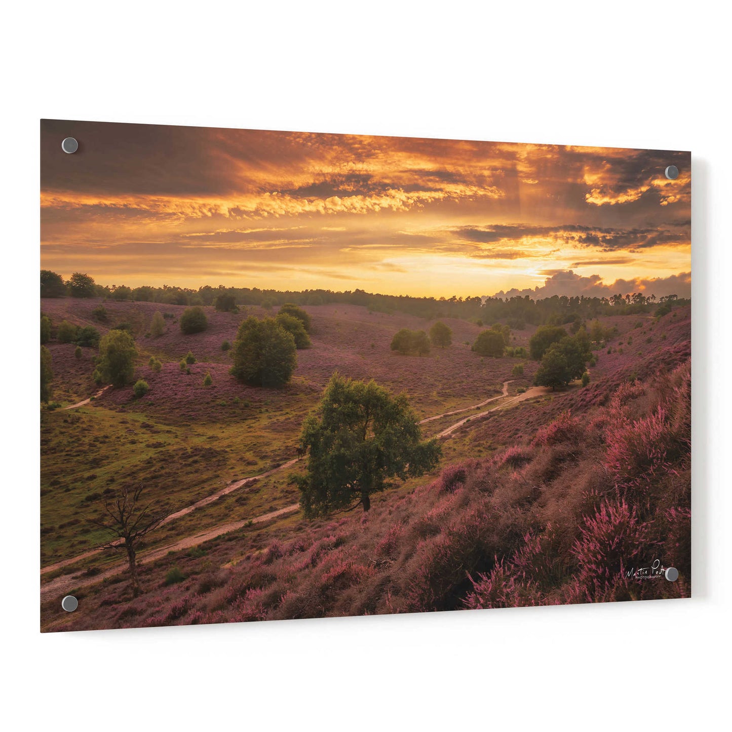 Epic Art 'Just a Sunset in the Netherlands' by Martin Podt, Acrylic Glass Wall Art,36x24