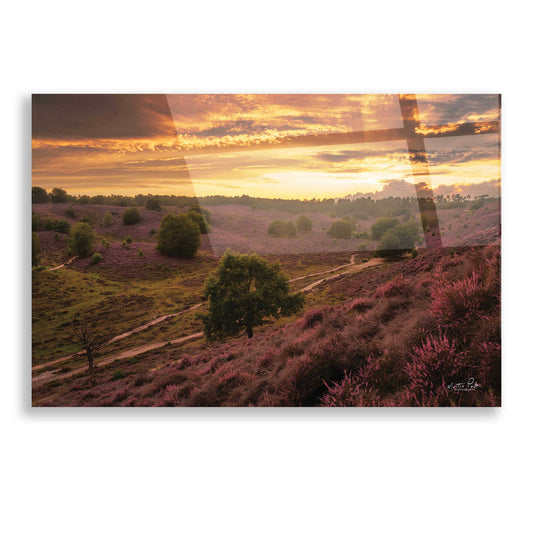 Epic Art 'Just a Sunset in the Netherlands' by Martin Podt, Acrylic Glass Wall Art