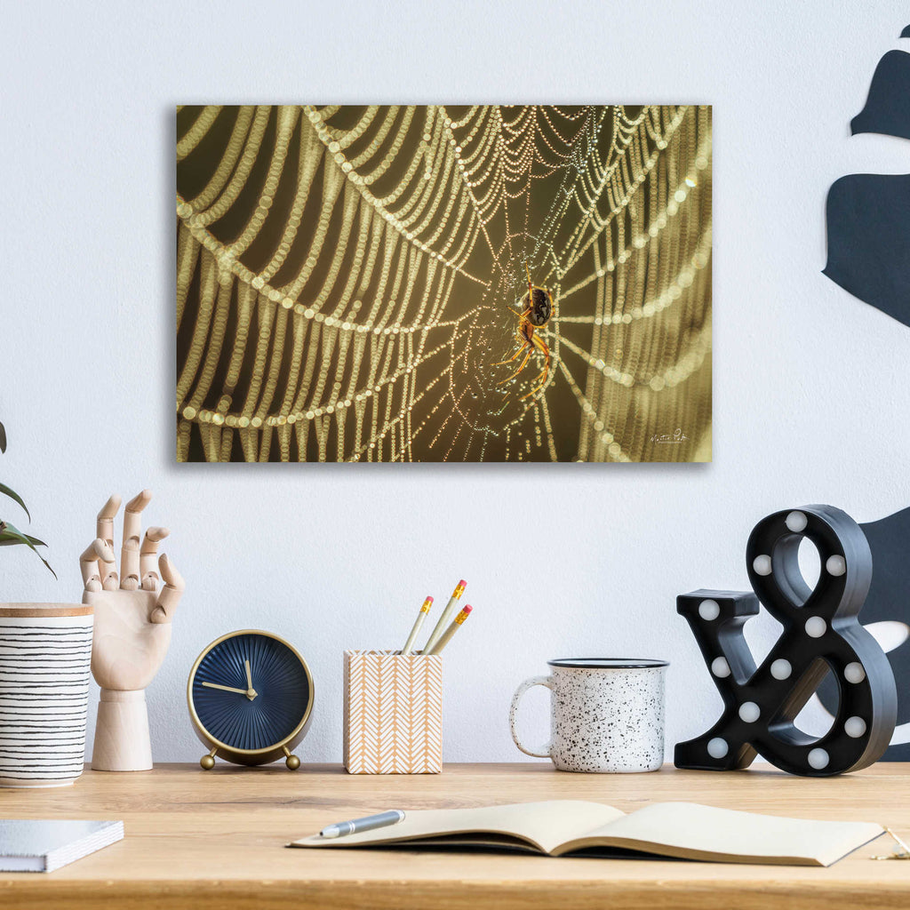 Epic Art 'The Spider and Her Jewels' by Martin Podt, Acrylic Glass Wall Art,16x12