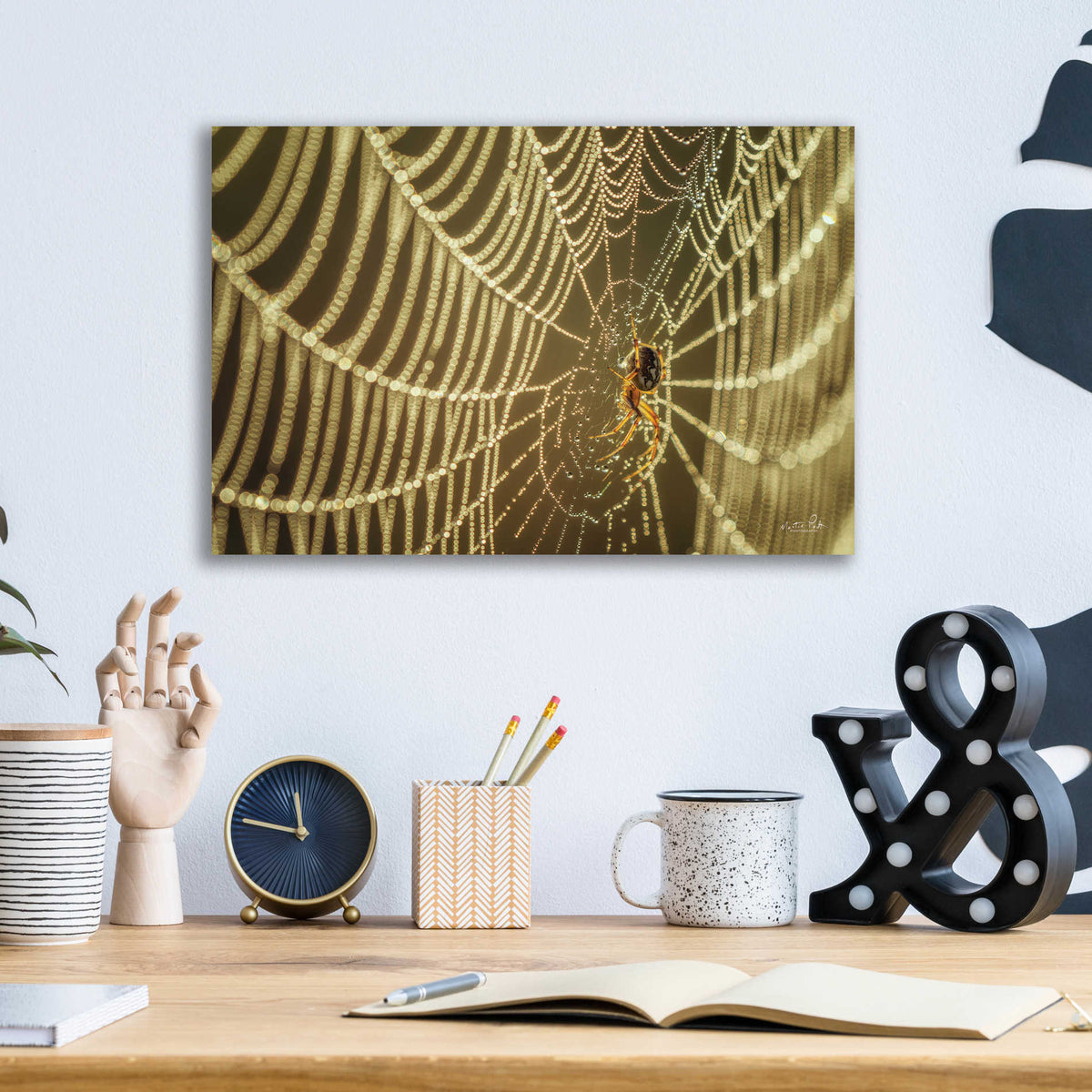 Epic Art 'The Spider and Her Jewels' by Martin Podt, Acrylic Glass Wall Art,16x12