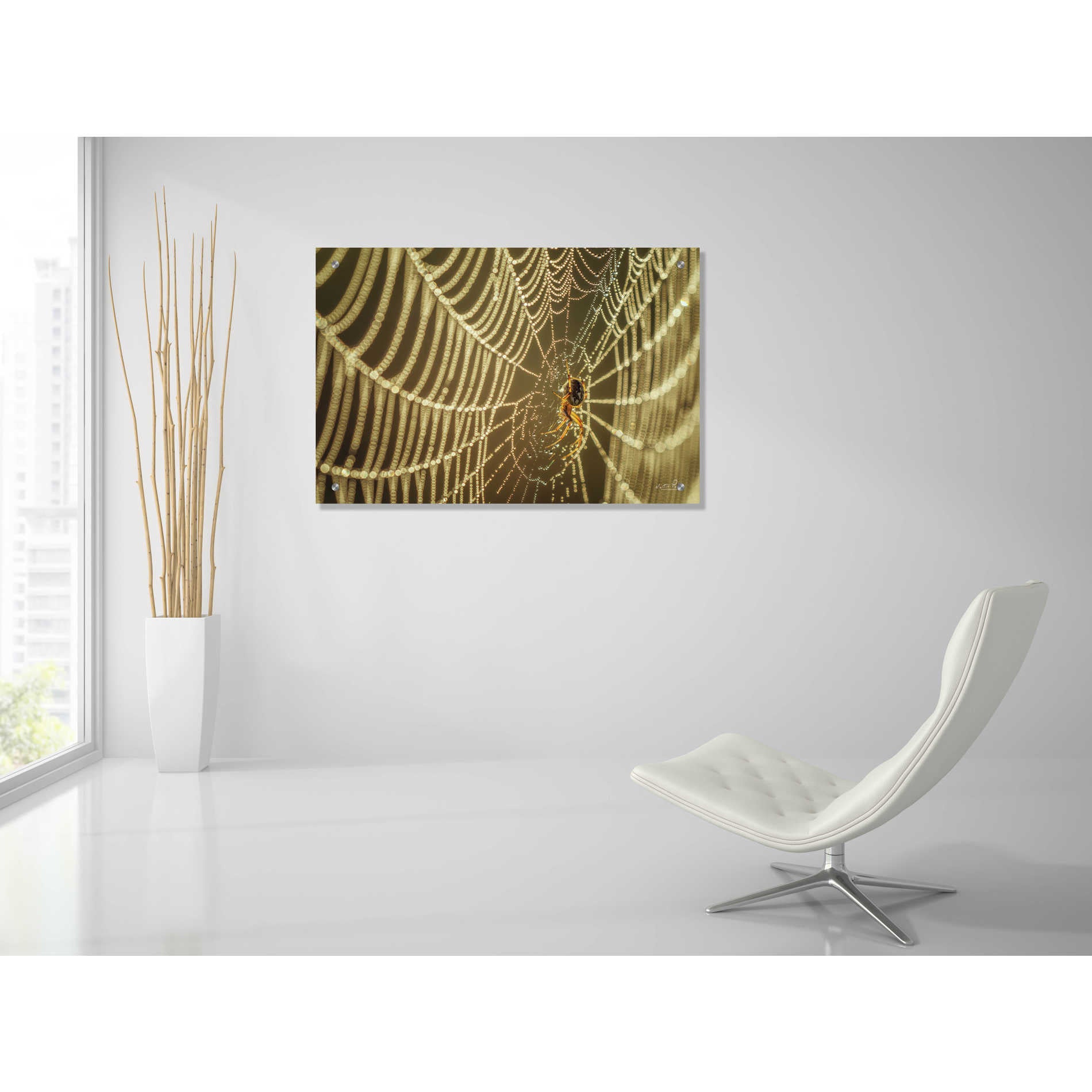Epic Art 'The Spider and Her Jewels' by Martin Podt, Acrylic Glass Wall Art,36x24