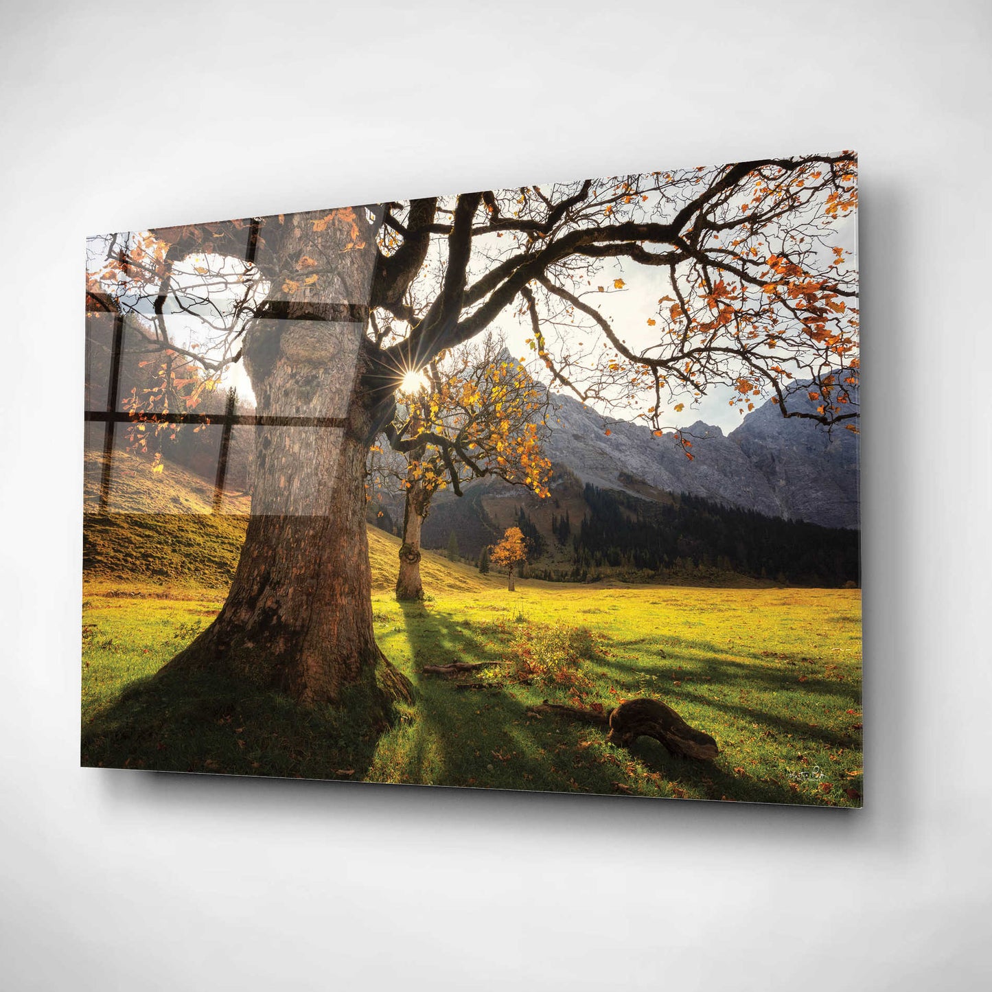 Epic Art 'The Star' by Martin Podt, Acrylic Glass Wall Art,16x12