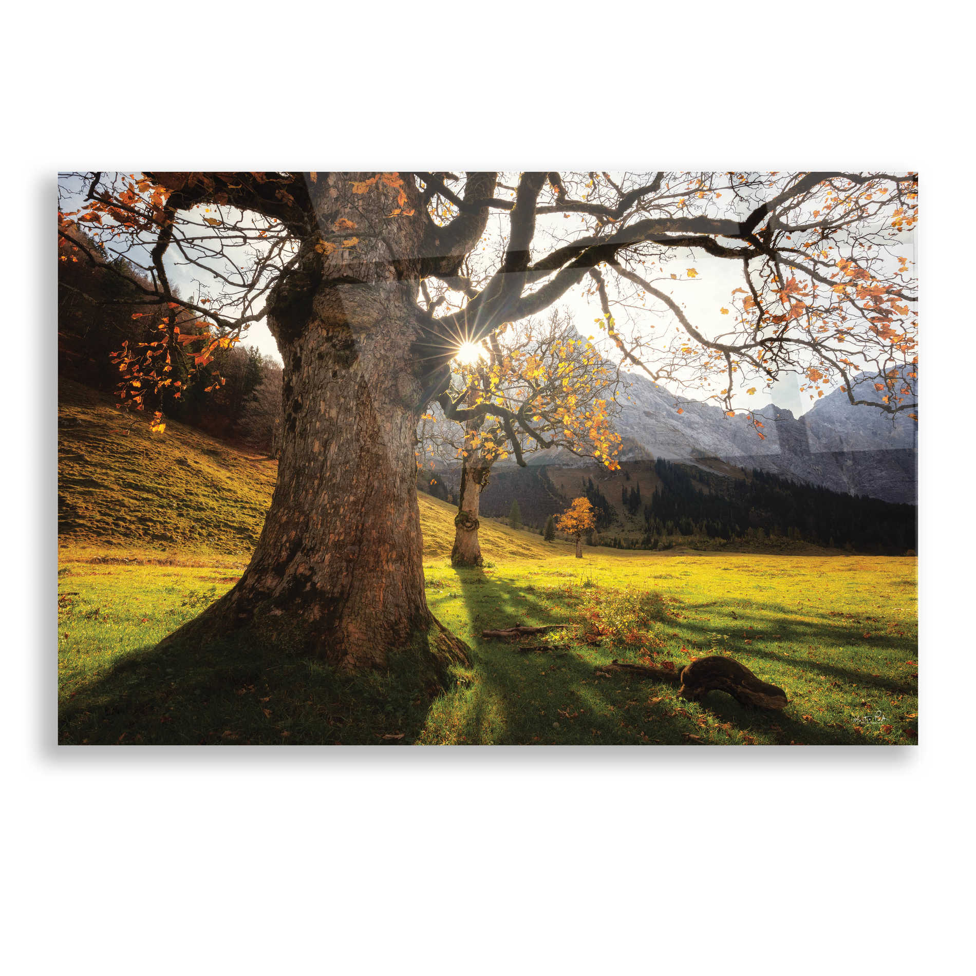 Epic Art 'The Star' by Martin Podt, Acrylic Glass Wall Art,16x12