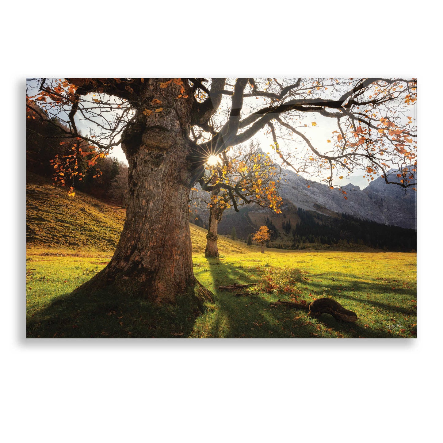 Epic Art 'The Star' by Martin Podt, Acrylic Glass Wall Art,24x16