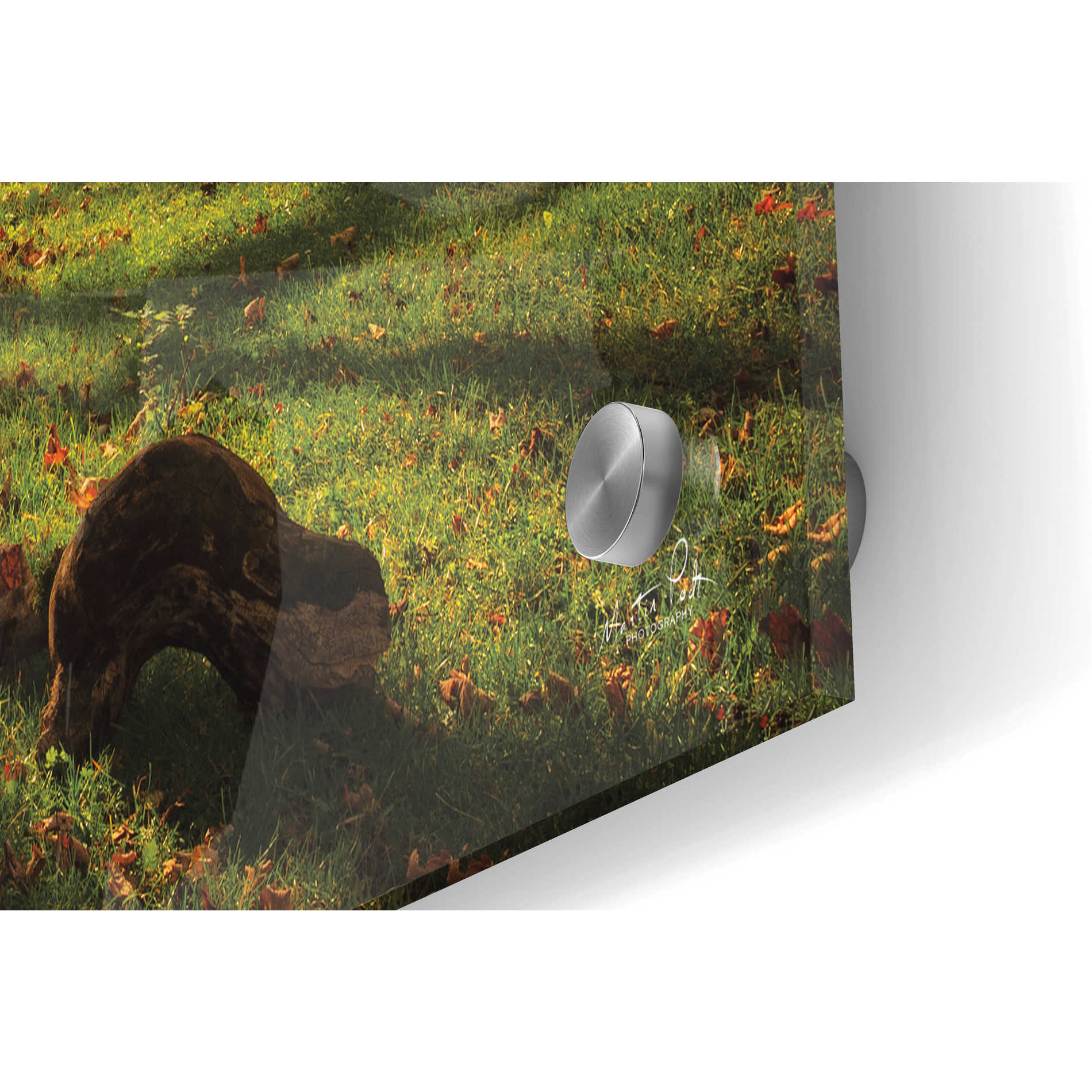 Epic Art 'The Star' by Martin Podt, Acrylic Glass Wall Art,36x24