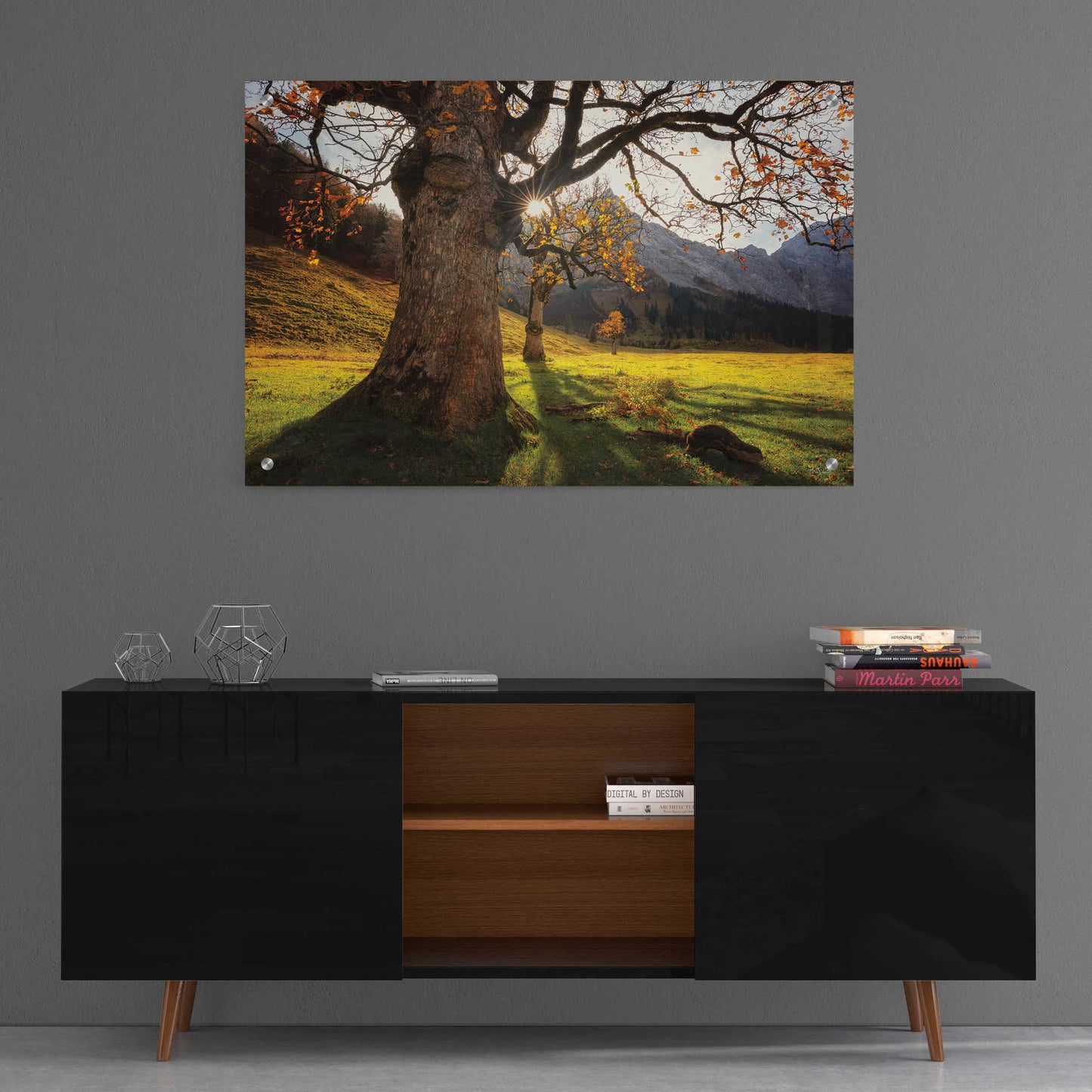 Epic Art 'The Star' by Martin Podt, Acrylic Glass Wall Art,36x24