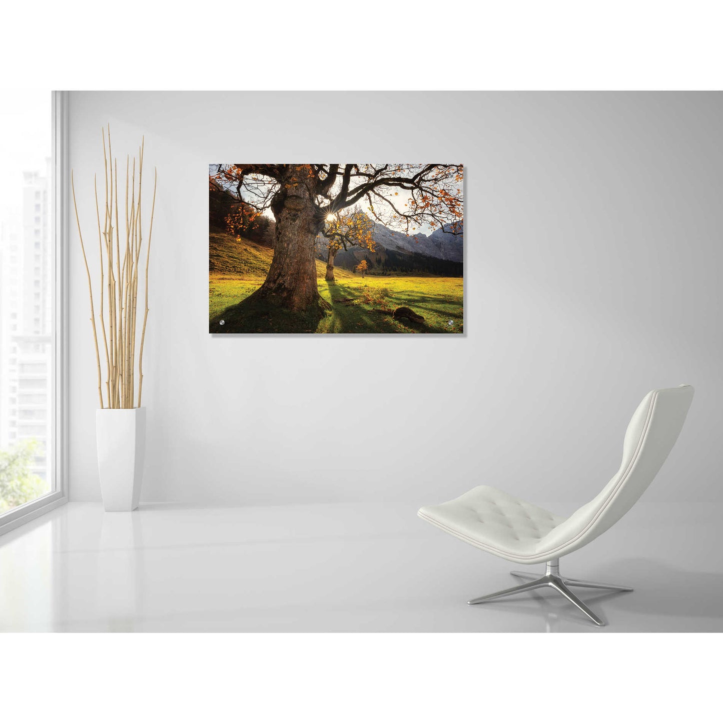 Epic Art 'The Star' by Martin Podt, Acrylic Glass Wall Art,36x24