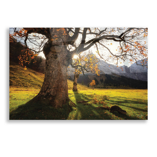 Epic Art 'The Star' by Martin Podt, Acrylic Glass Wall Art