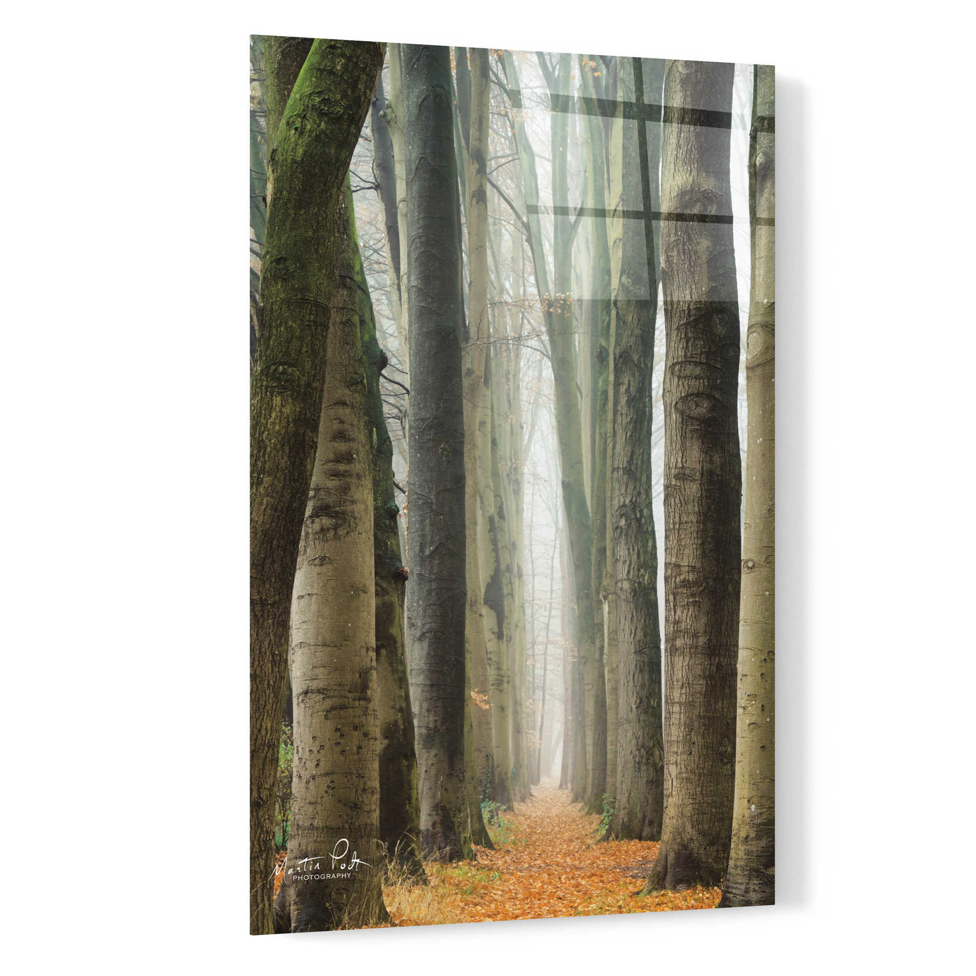 Epic Art 'Narrow Alley in the Netherlands' by Martin Podt, Acrylic Glass Wall Art,16x24