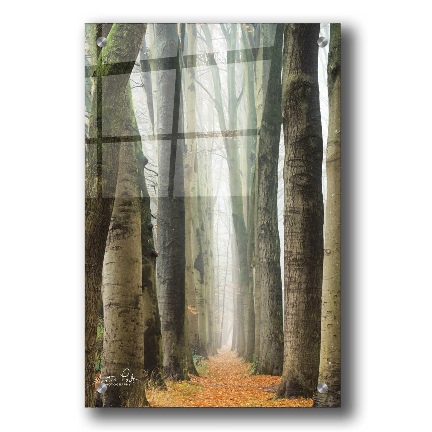 Epic Art 'Narrow Alley in the Netherlands' by Martin Podt, Acrylic Glass Wall Art,24x36