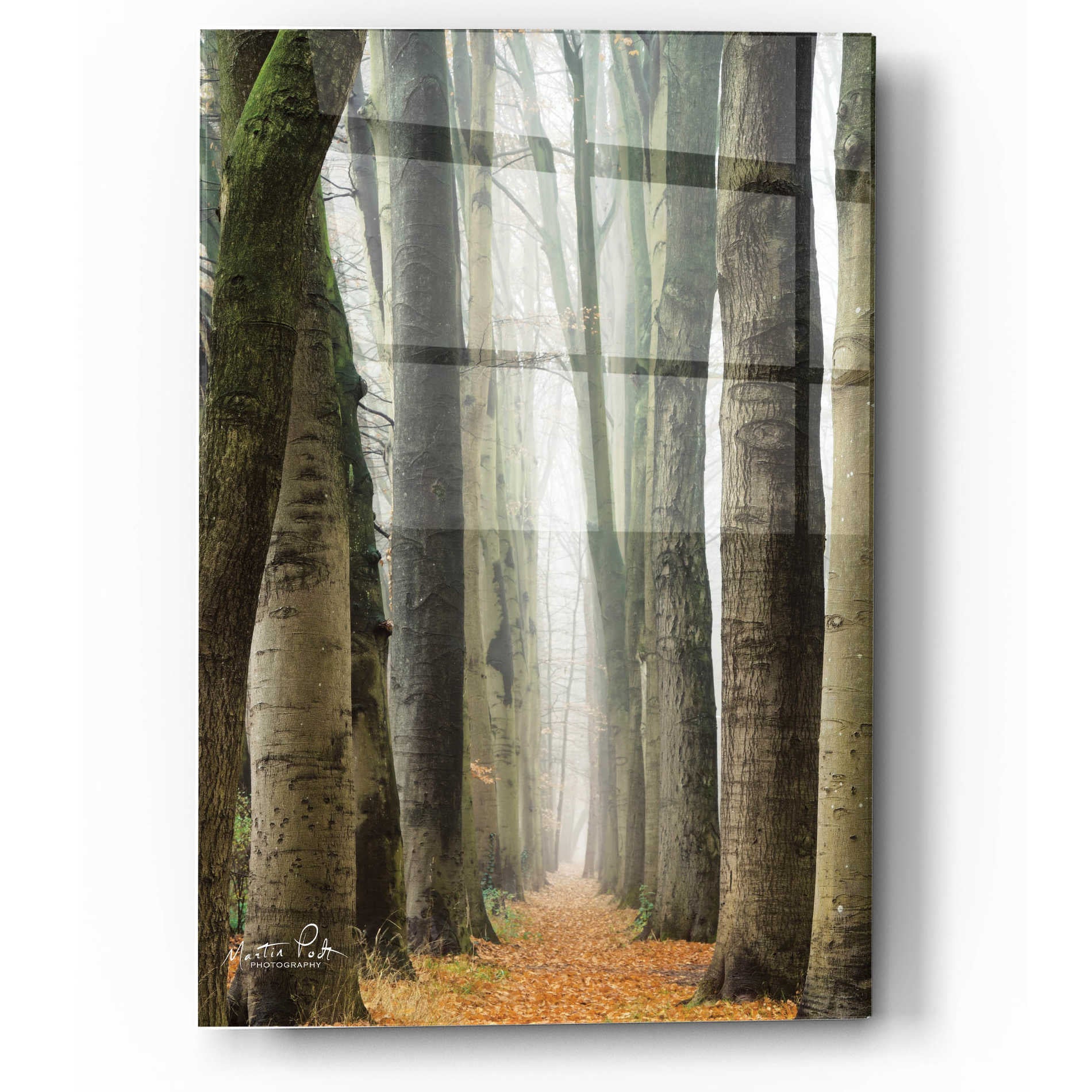 Epic Art 'Narrow Alley in the Netherlands' by Martin Podt, Acrylic Glass Wall Art