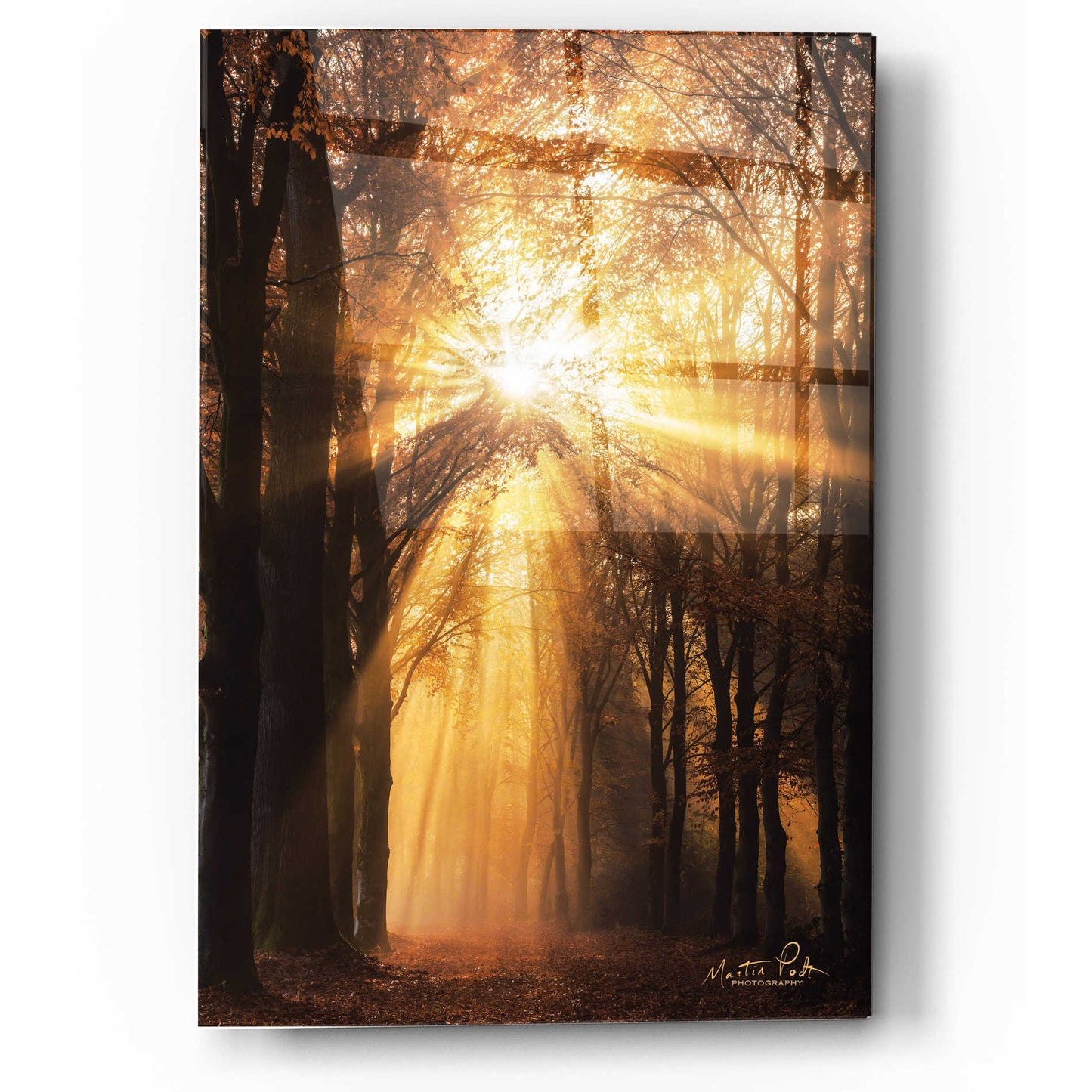 Epic Art 'Sunburst' by Martin Podt, Acrylic Glass Wall Art,12x16