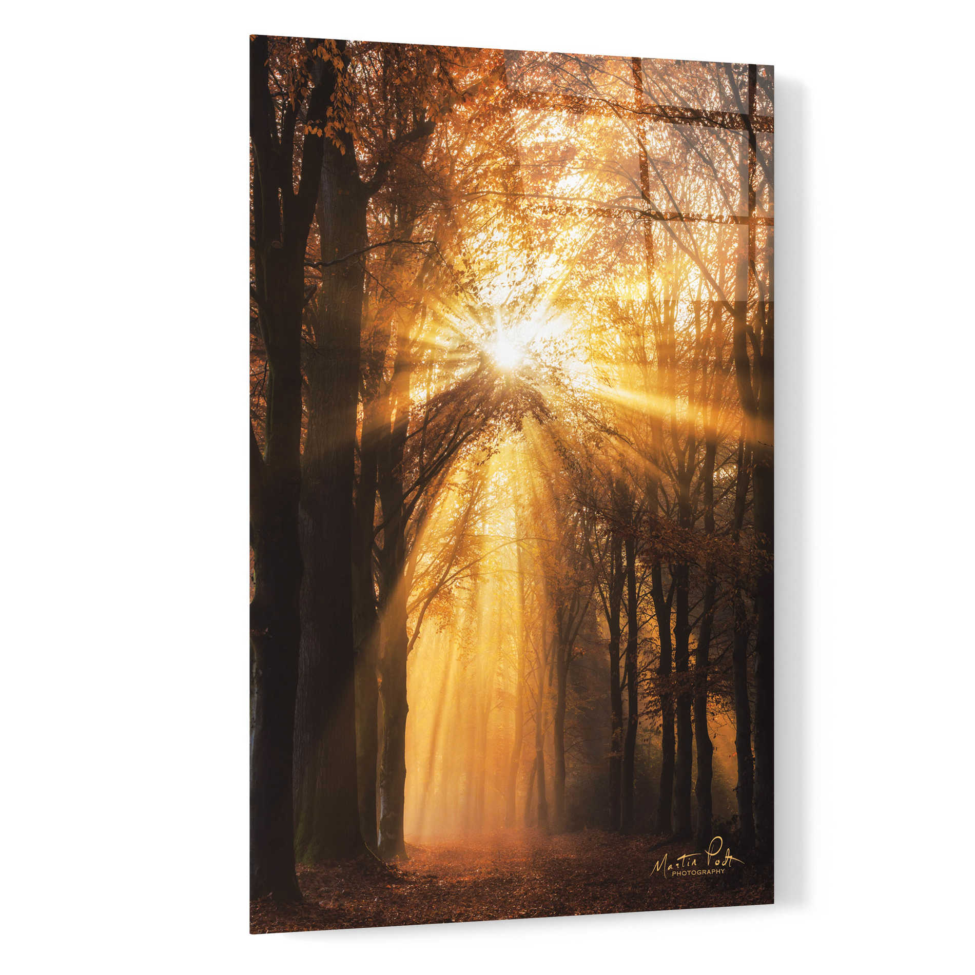 Epic Art 'Sunburst' by Martin Podt, Acrylic Glass Wall Art,16x24