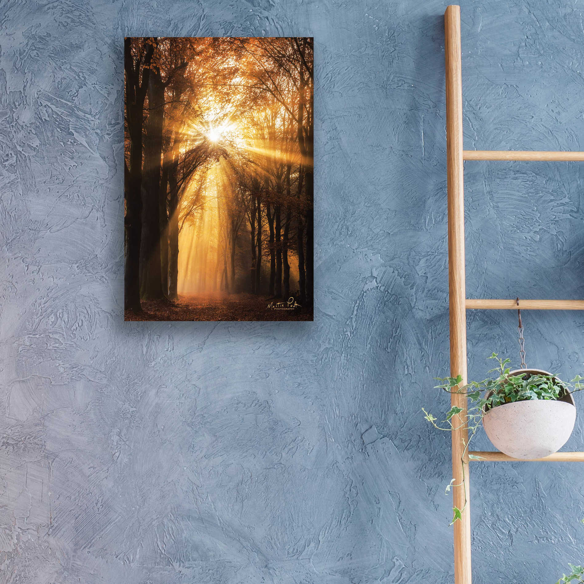 Epic Art 'Sunburst' by Martin Podt, Acrylic Glass Wall Art,16x24