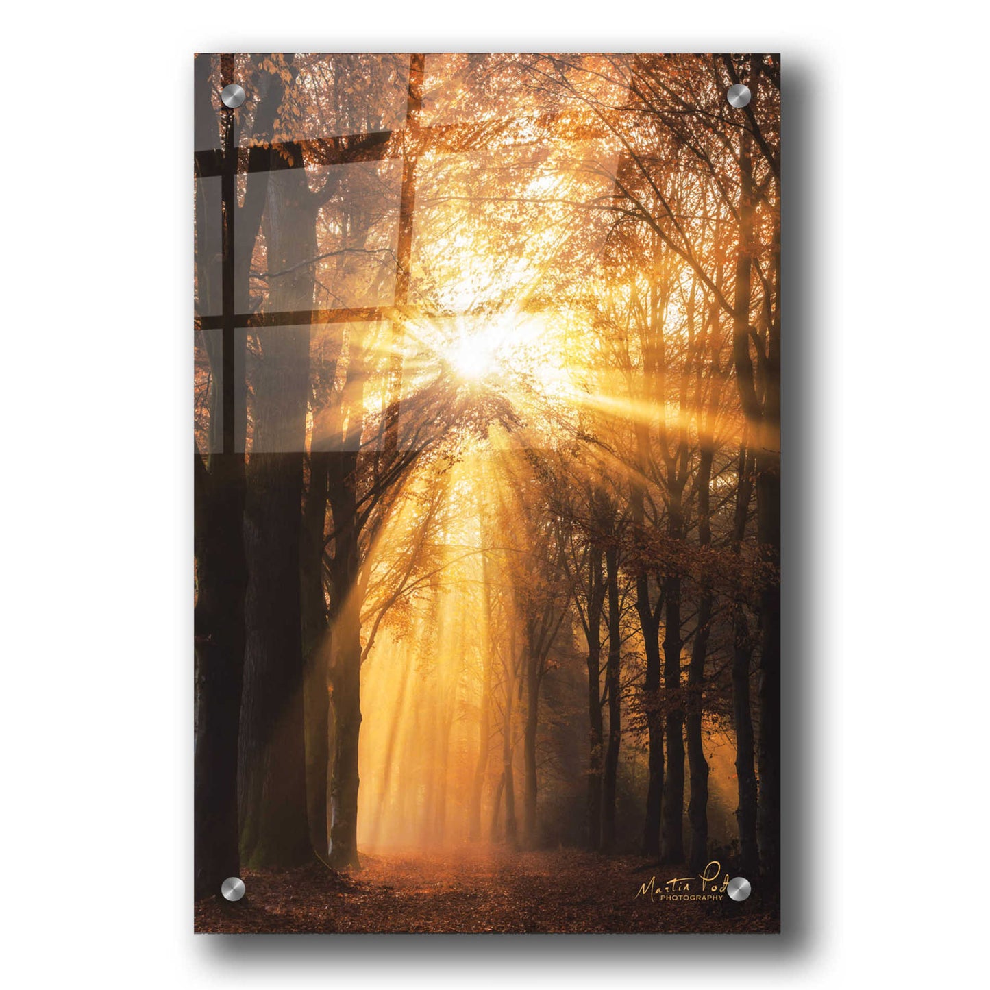 Epic Art 'Sunburst' by Martin Podt, Acrylic Glass Wall Art,24x36