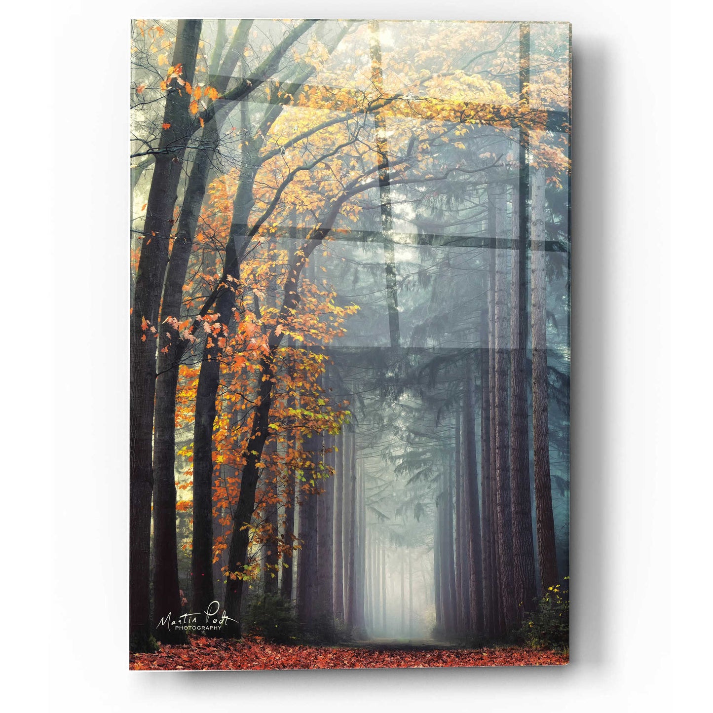 Epic Art 'To Another World' by Martin Podt, Acrylic Glass Wall Art,12x16