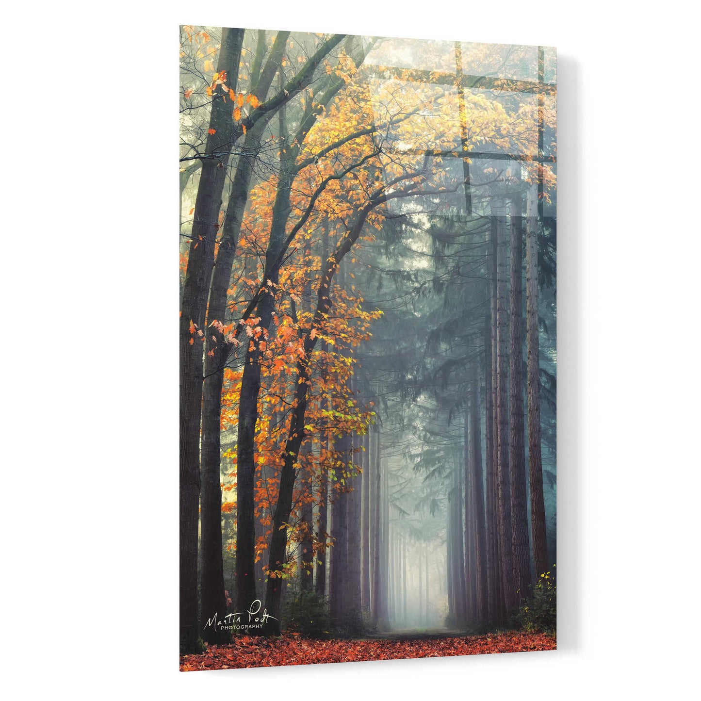 Epic Art 'To Another World' by Martin Podt, Acrylic Glass Wall Art,16x24