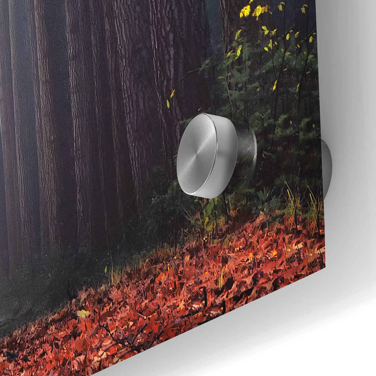 Epic Art 'To Another World' by Martin Podt, Acrylic Glass Wall Art,24x36