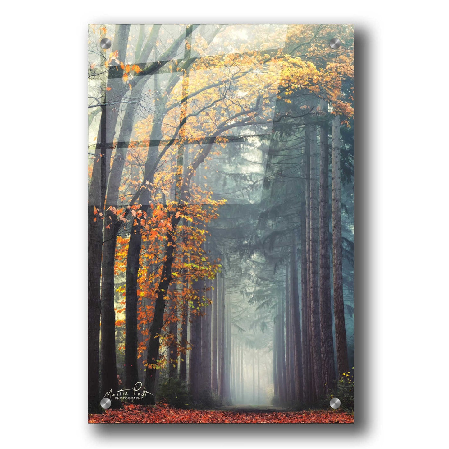 Epic Art 'To Another World' by Martin Podt, Acrylic Glass Wall Art,24x36