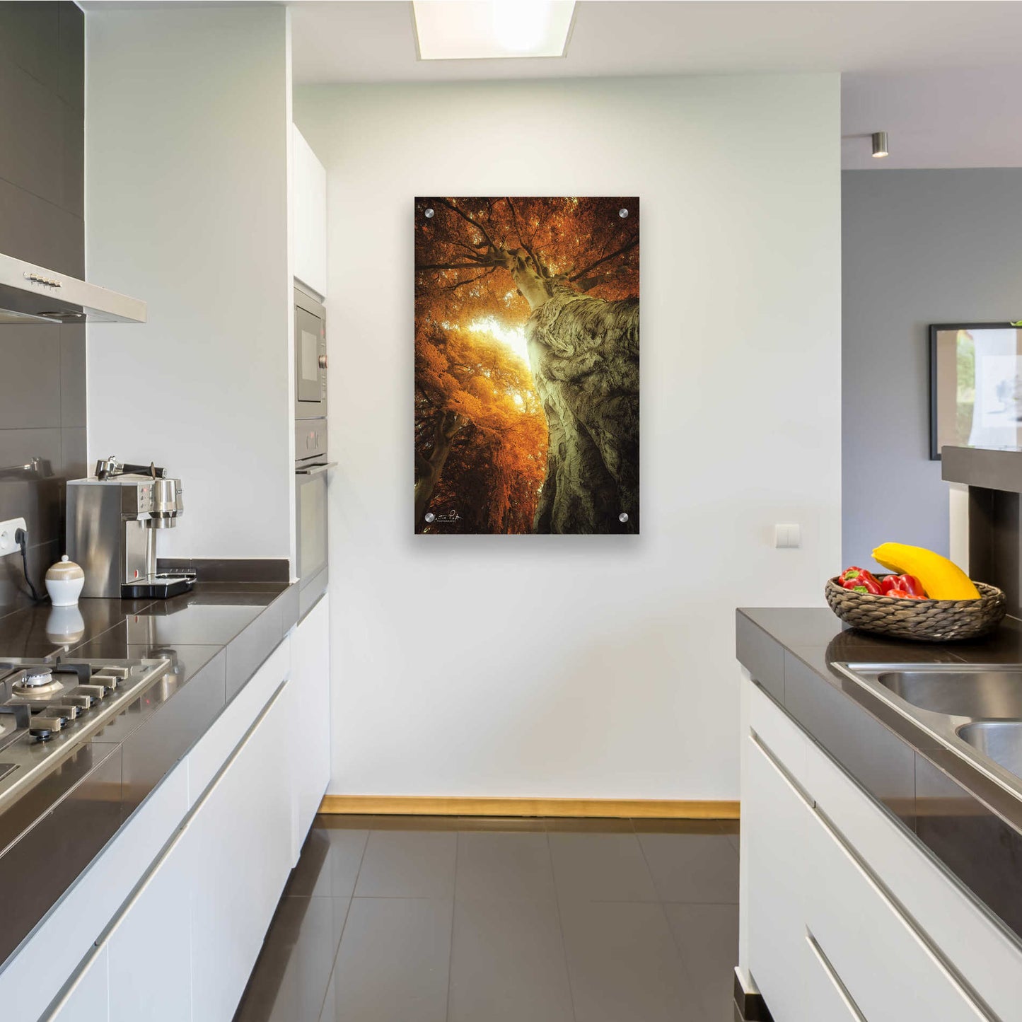 Epic Art 'Look Up Autumn' by Martin Podt, Acrylic Glass Wall Art,24x36