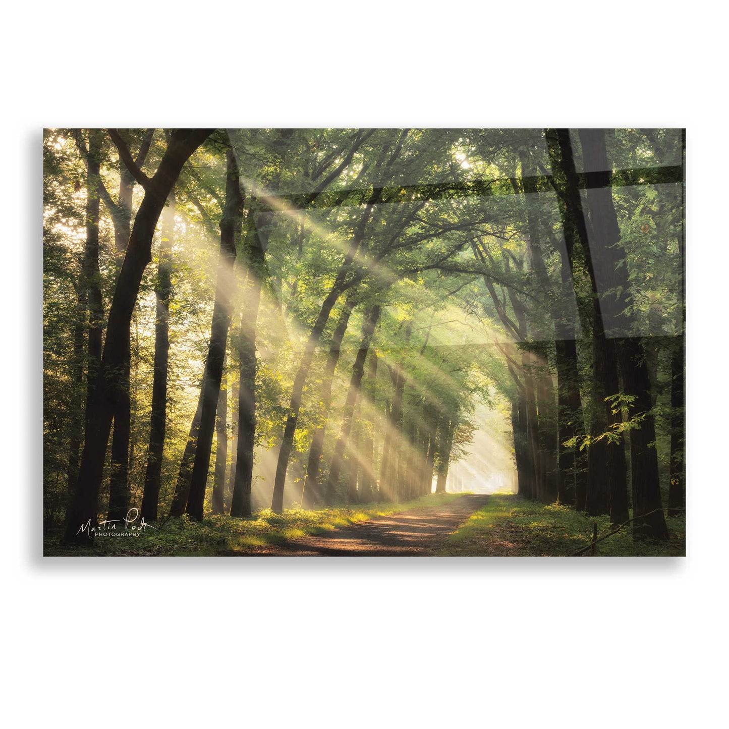 Epic Art 'The Light of Lochem' by Martin Podt, Acrylic Glass Wall Art,16x12