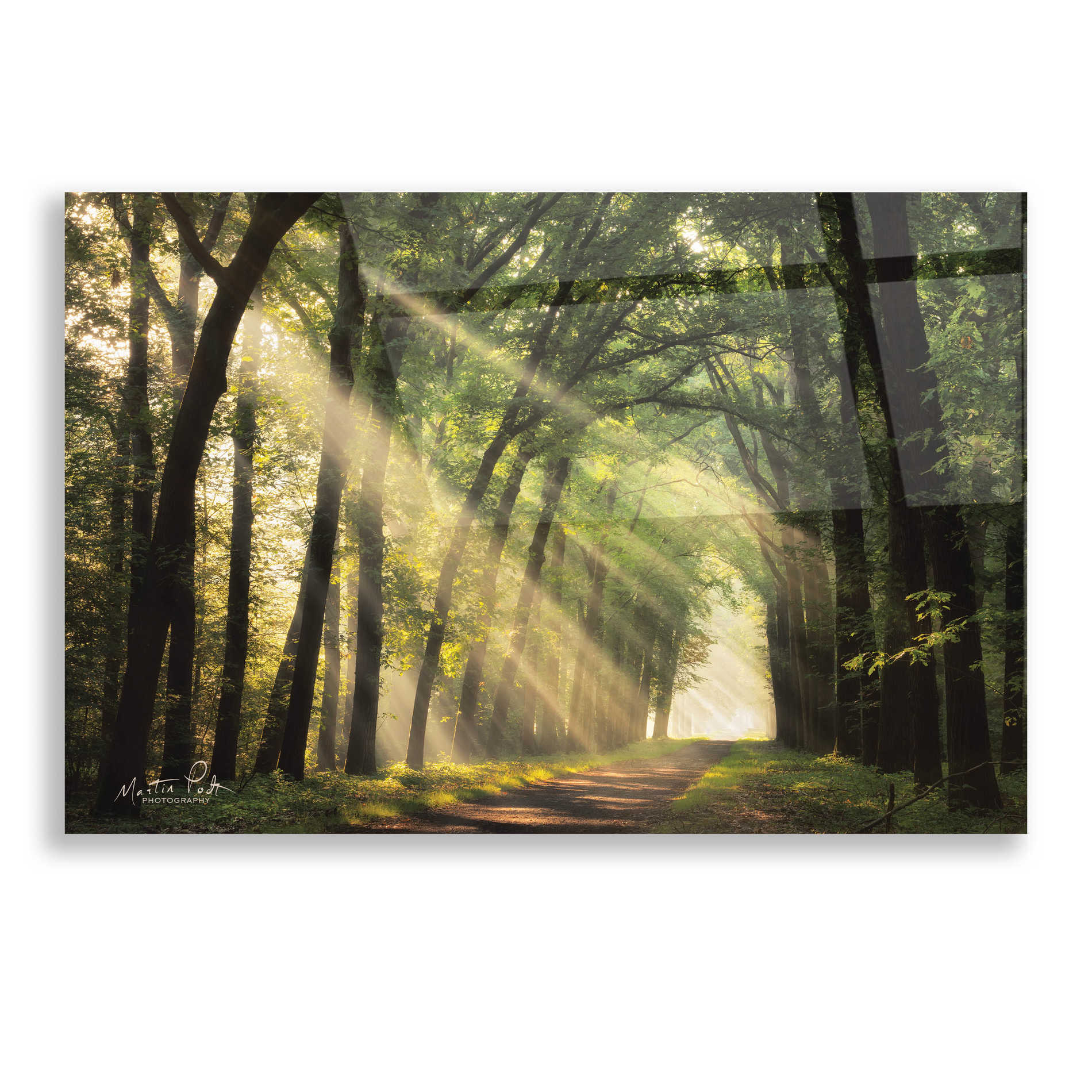 Epic Art 'The Light of Lochem' by Martin Podt, Acrylic Glass Wall Art,16x12