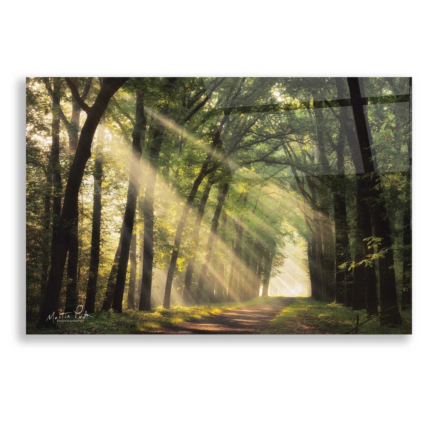 Epic Art 'The Light of Lochem' by Martin Podt, Acrylic Glass Wall Art,24x16