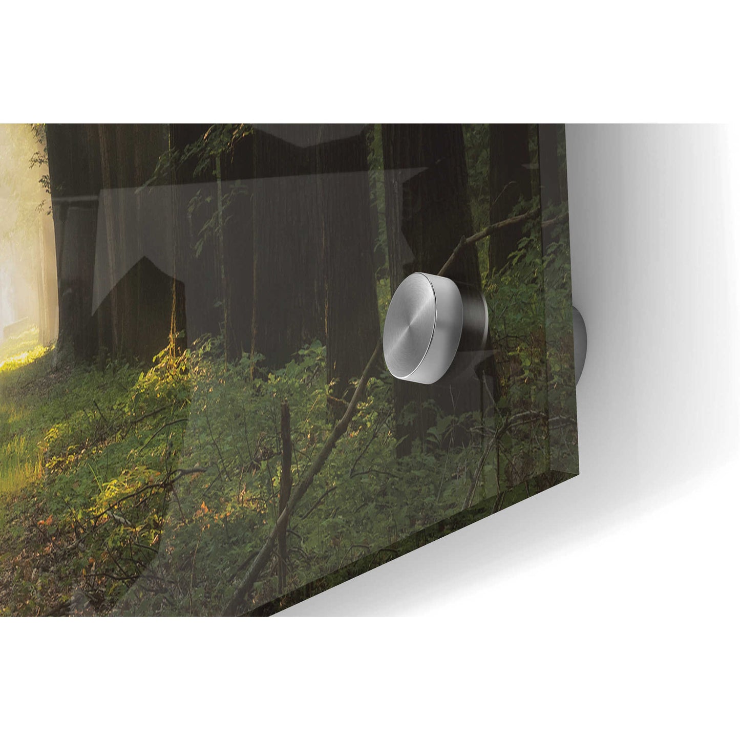 Epic Art 'The Light of Lochem' by Martin Podt, Acrylic Glass Wall Art,36x24