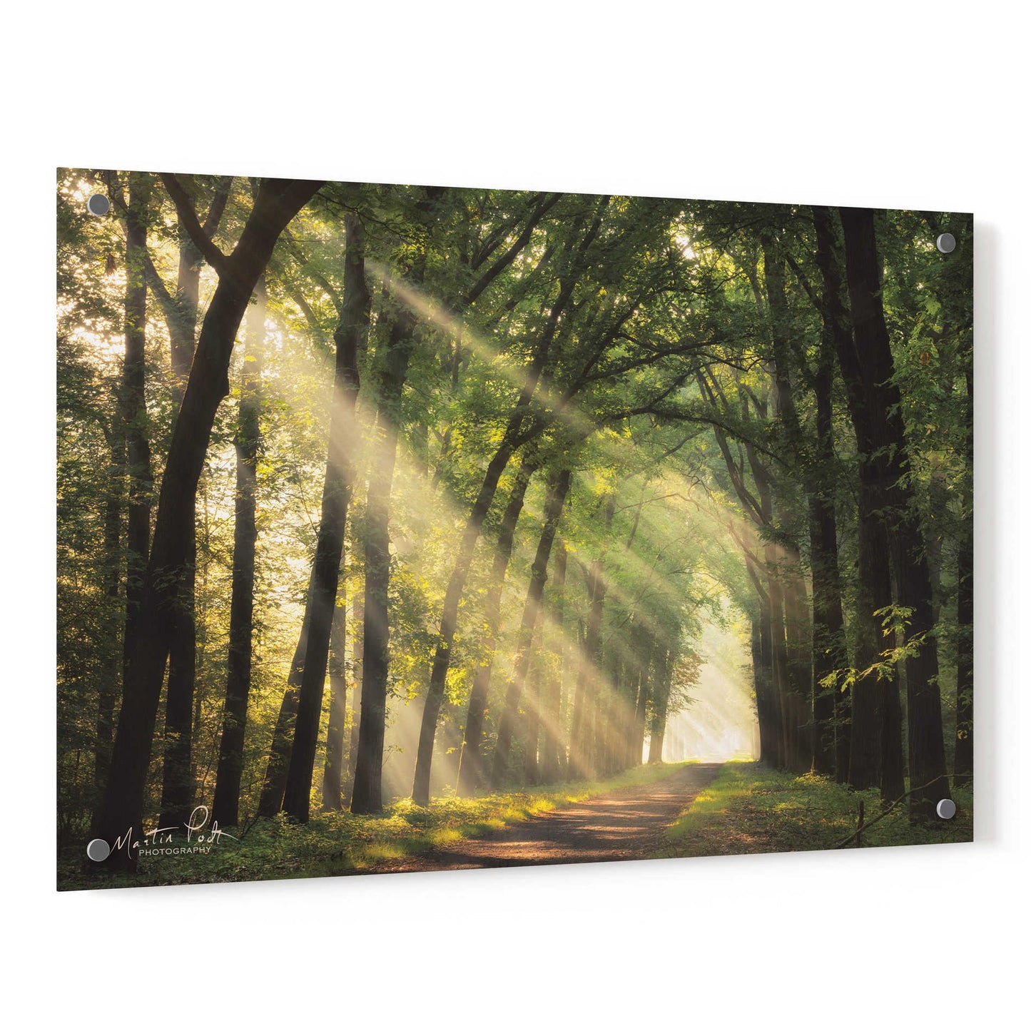 Epic Art 'The Light of Lochem' by Martin Podt, Acrylic Glass Wall Art,36x24