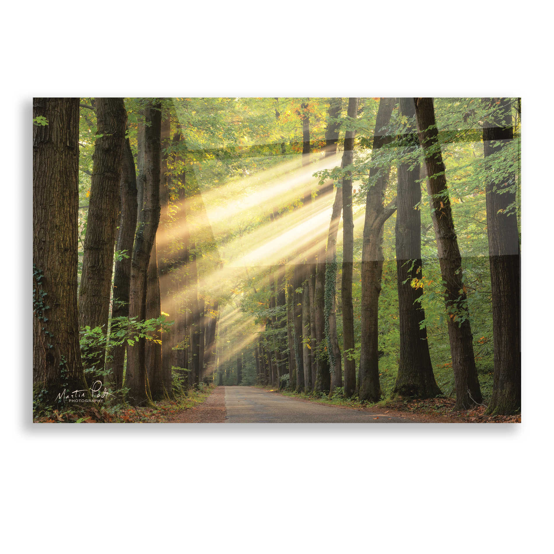 Epic Art 'Rayzor Light' by Martin Podt, Acrylic Glass Wall Art,16x12